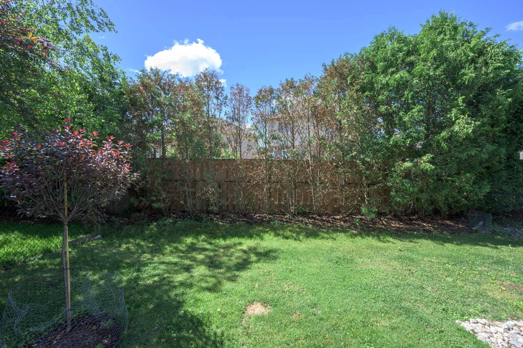 34-peartree-004.jpg