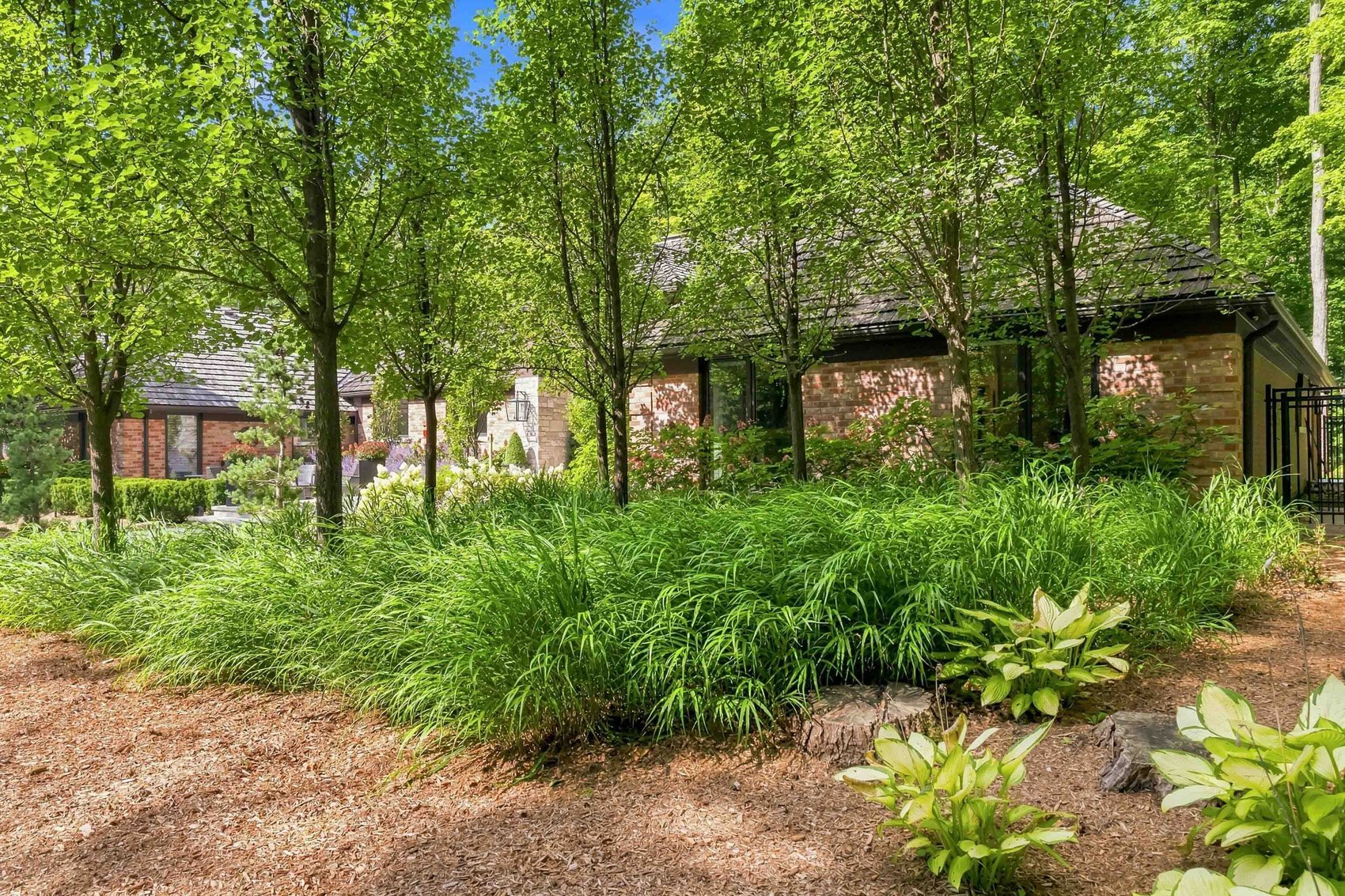 3668-homewood-web-239.jpg