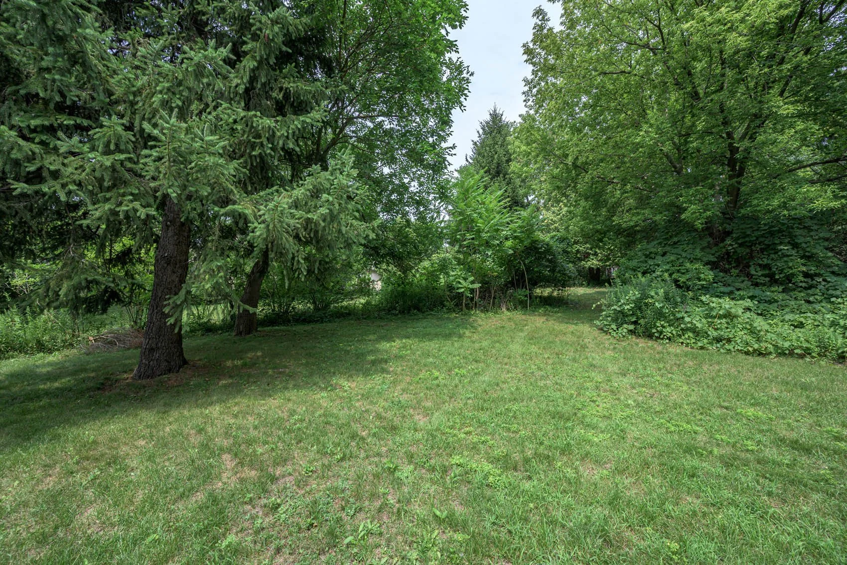 850-comm-027.jpg