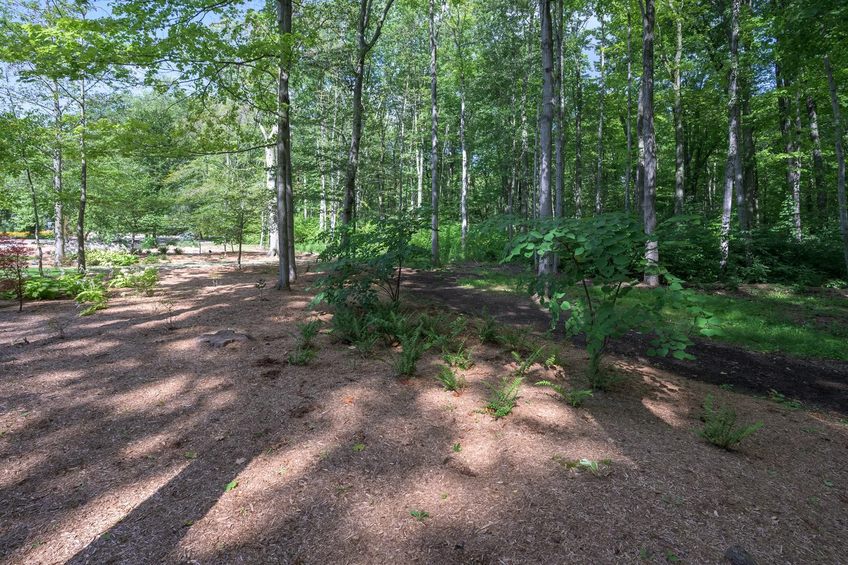 3668-homewood-web-217.jpg