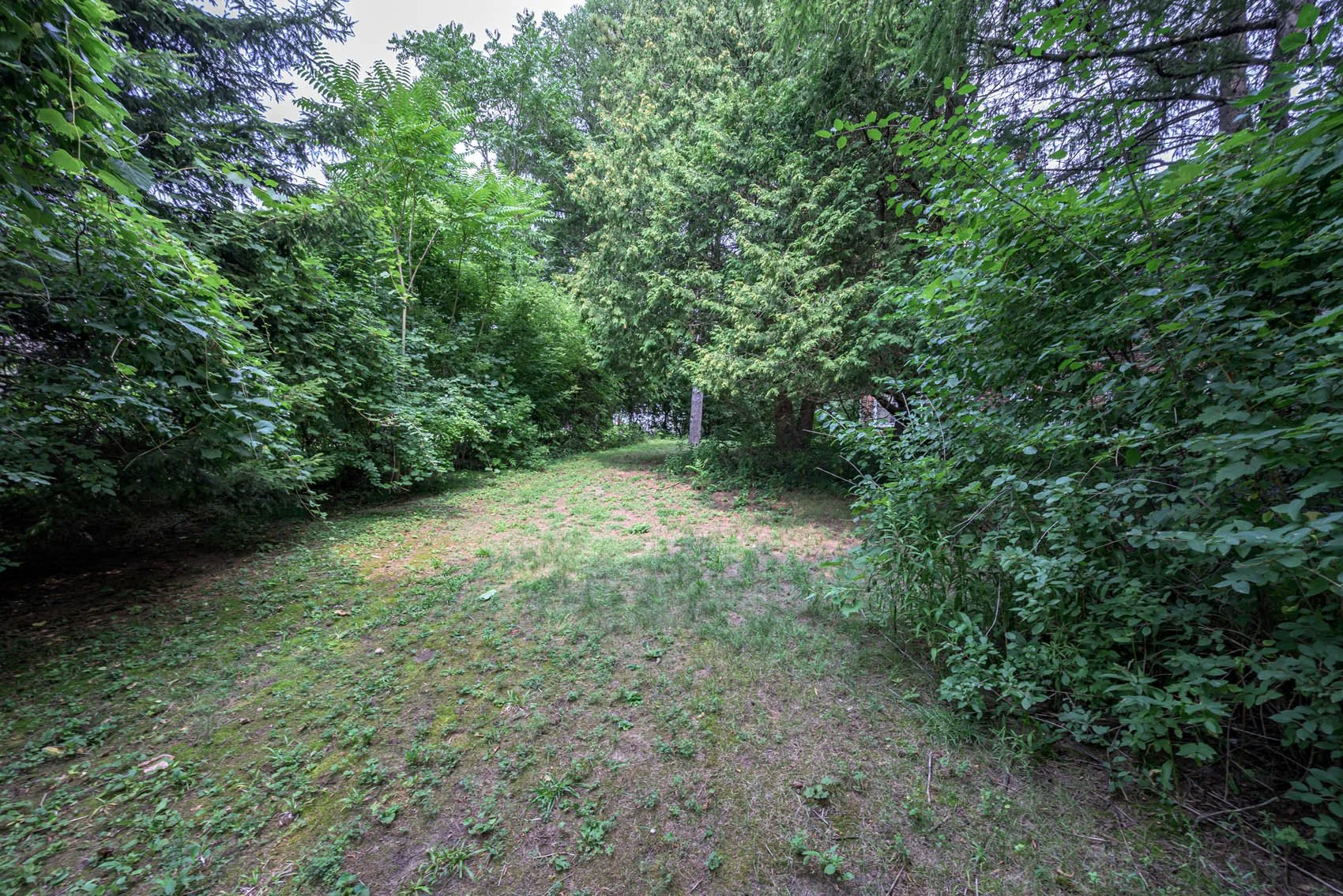 850-comm-022.jpg