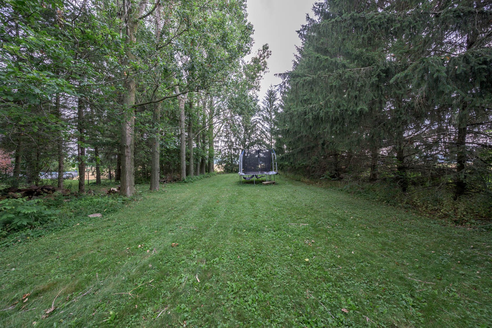 5382-Line10-032.jpg