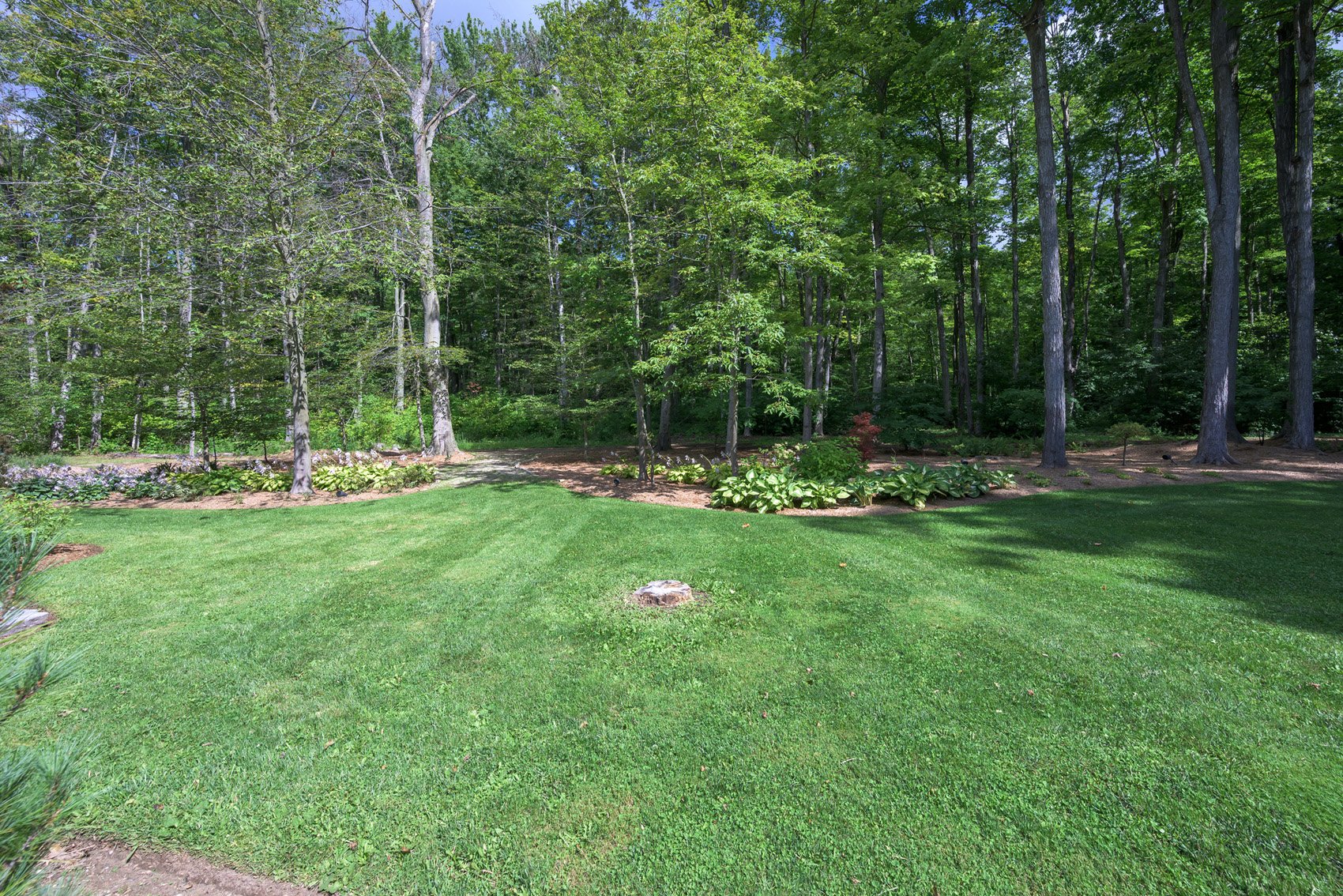 3668-homewood-web-224.jpg