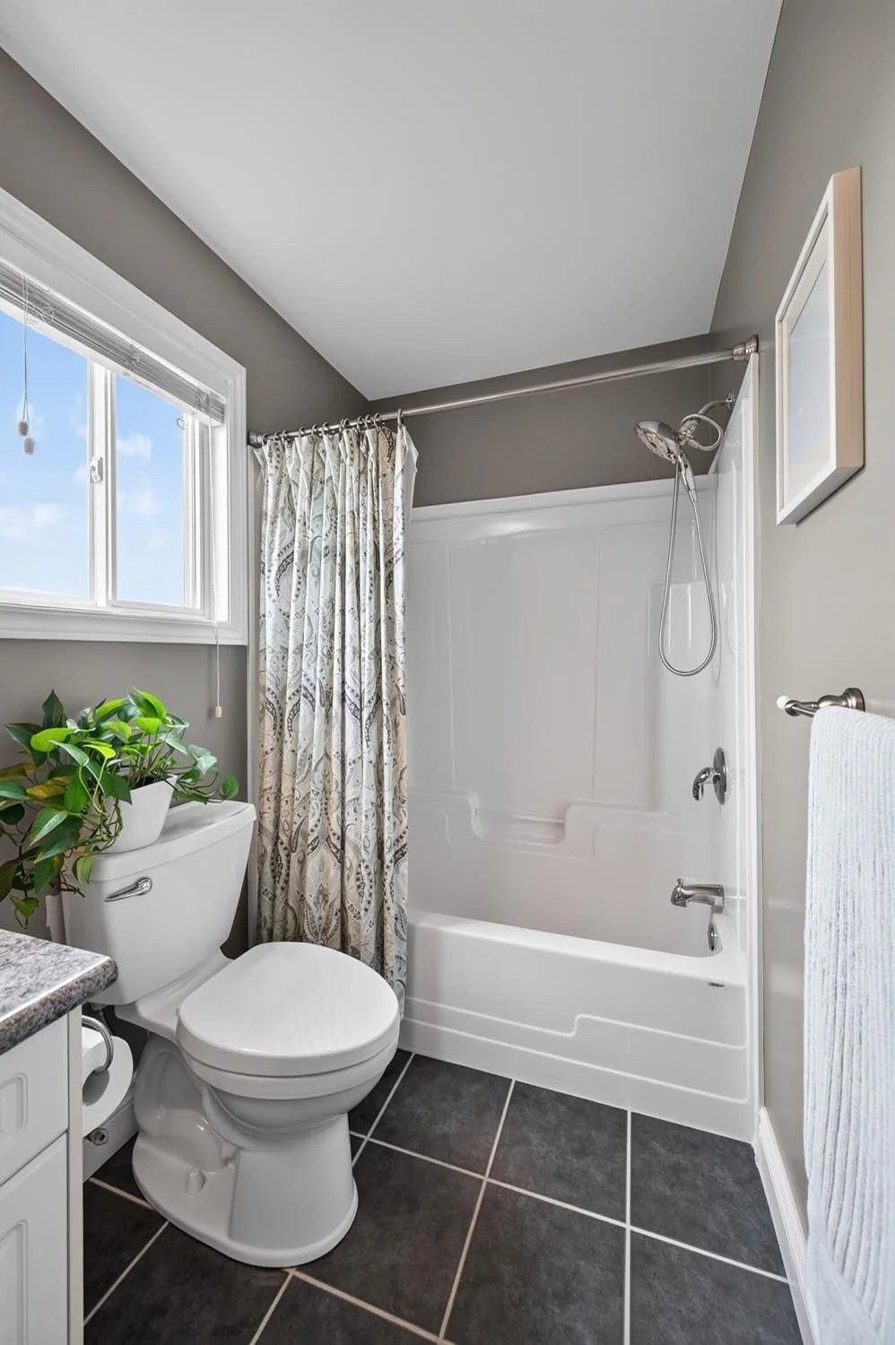 1706-bayswater-046.jpg