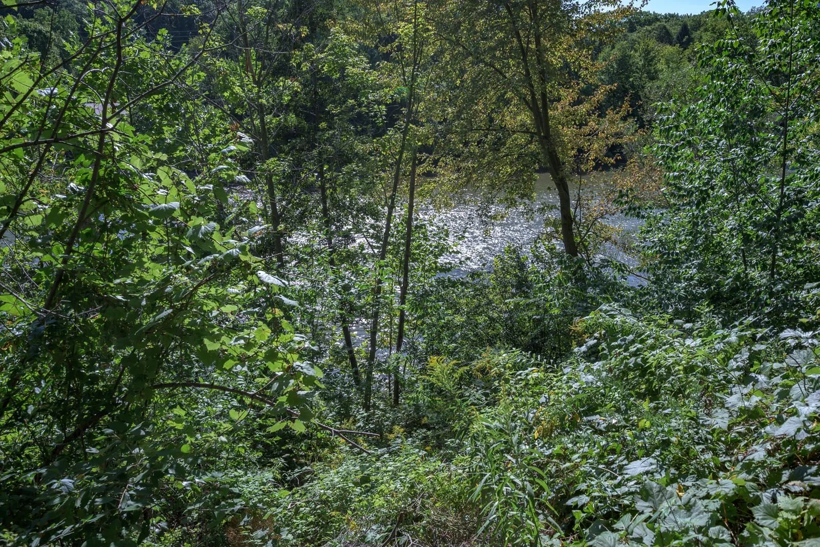 756-riverside-6-008.jpg