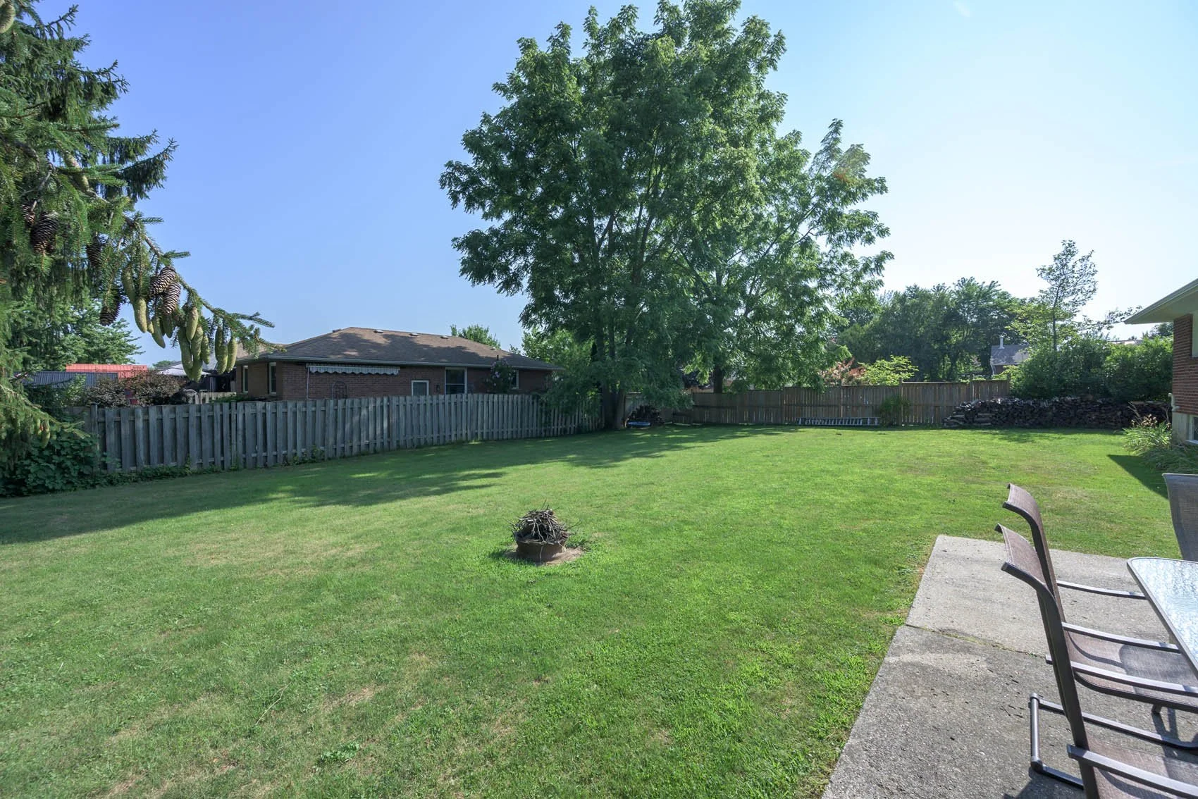 664-elm-011.jpg