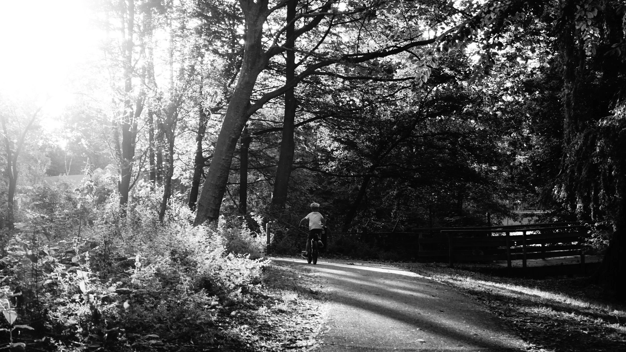 A kid on a bike at Kinderboerderij