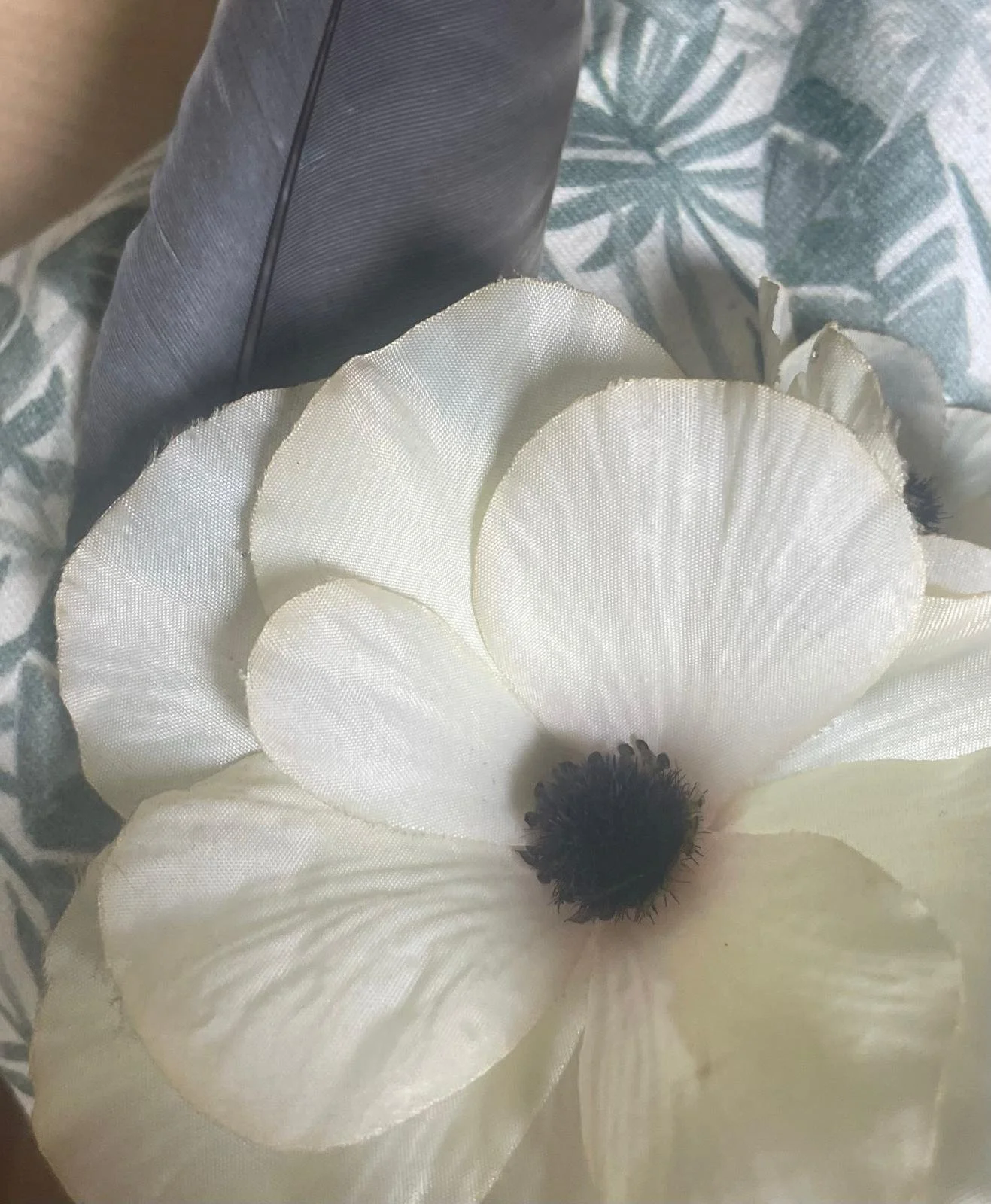 Het land van nu energieveld meditaties