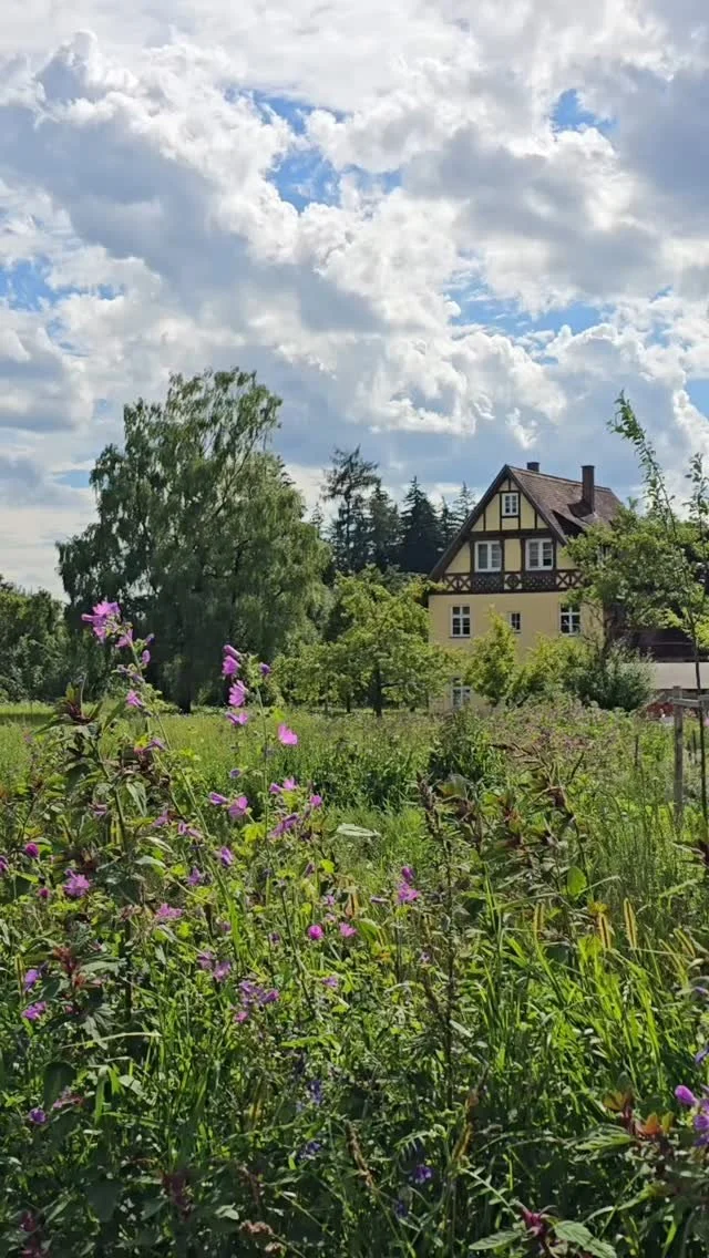 #gutsonnenhausen #bio #restaurant #bioküche #gutshof