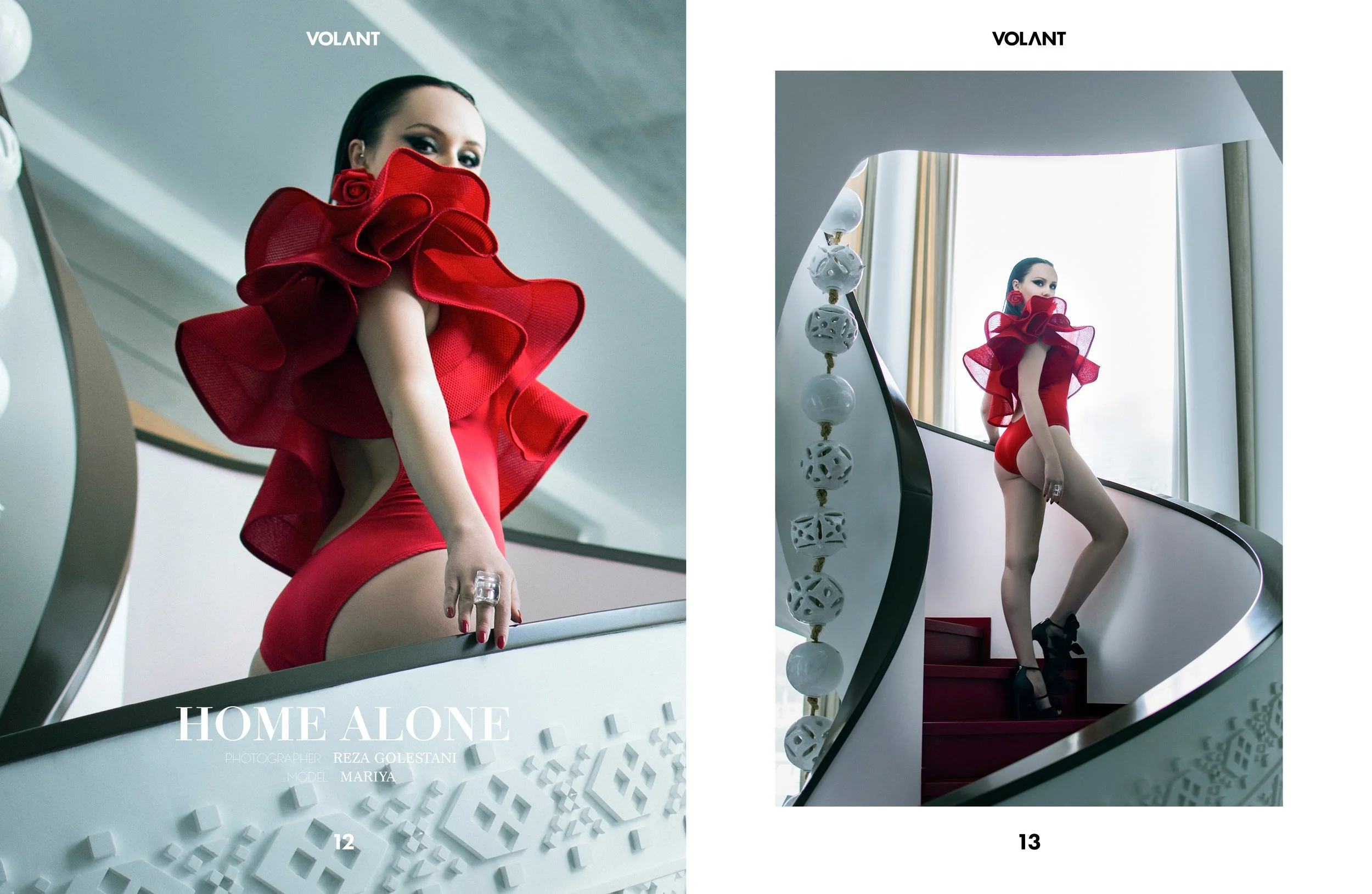 VOLANT_RHPI_VOL077.jpg