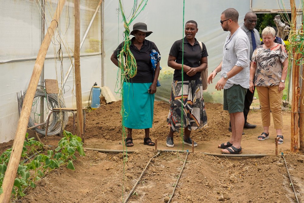 Copy of DSC04449.jpg