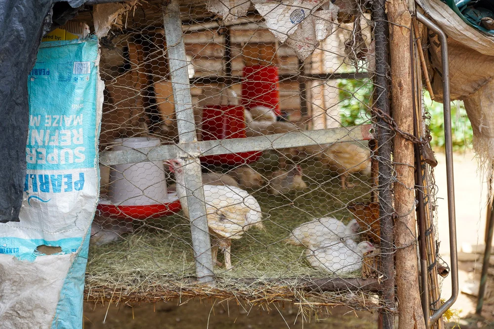 Copy of DSC04435.jpg