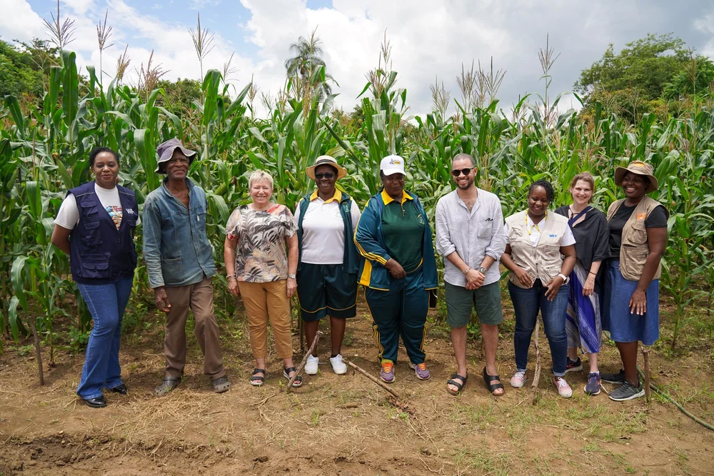 Copy of DSC04515.jpg