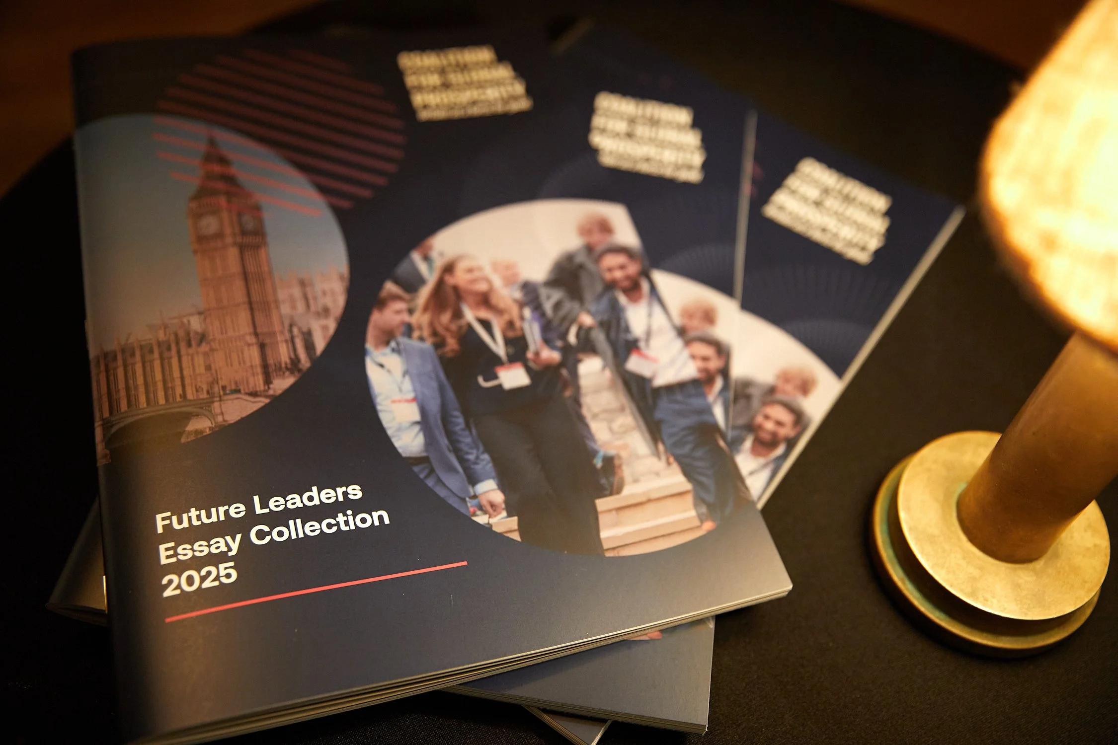 Copy of 260129-CGP-FLEssays-LoRes002.jpg