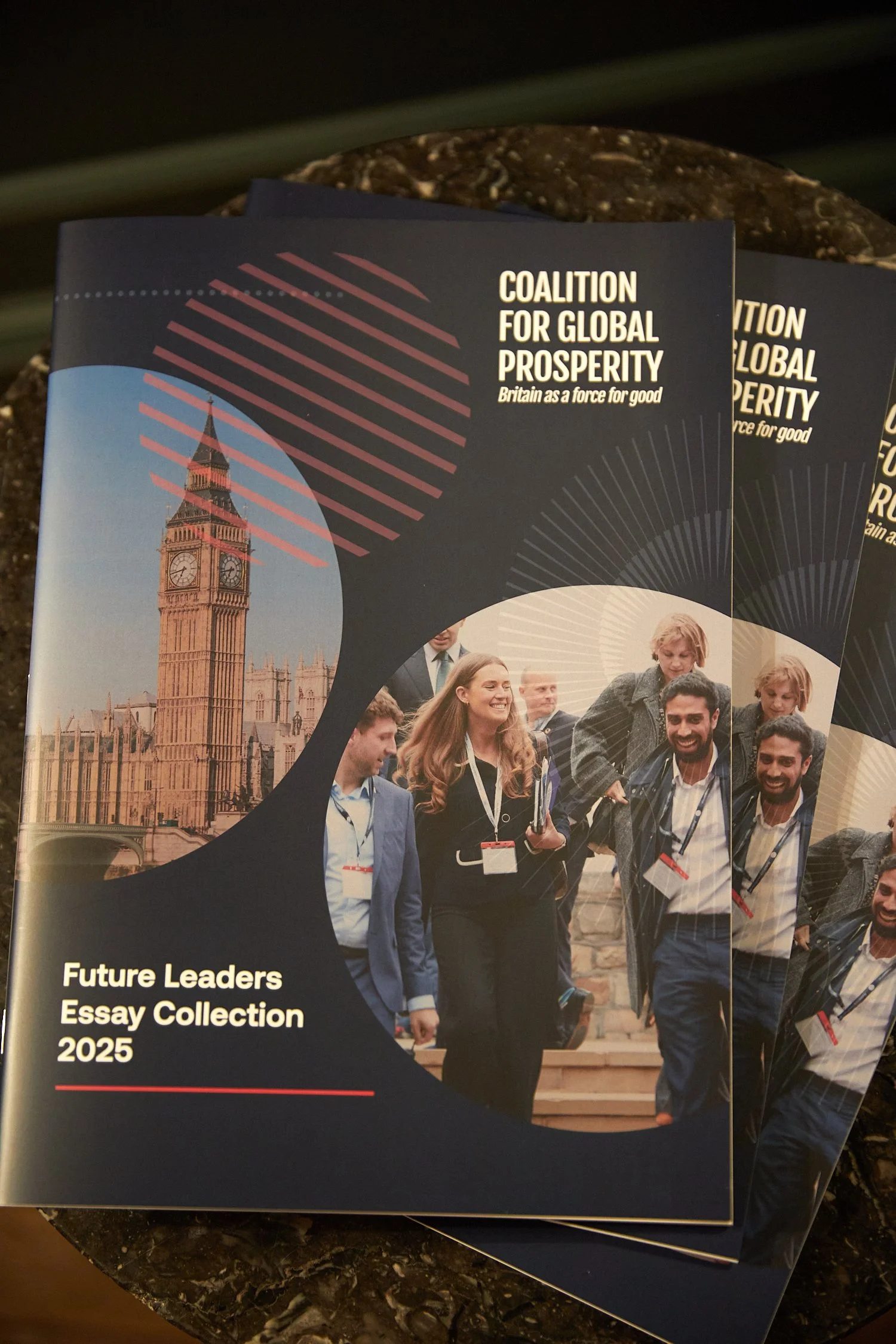 Copy of 260129-CGP-FLEssays-LoRes003.jpg