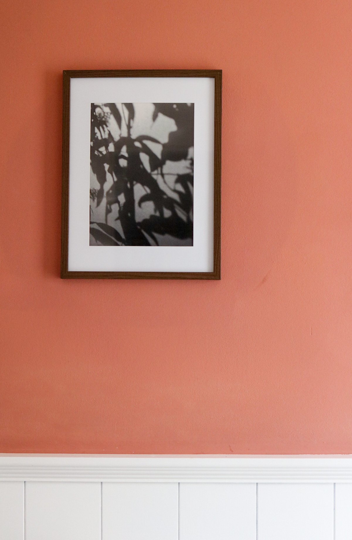 image00004.jpeg