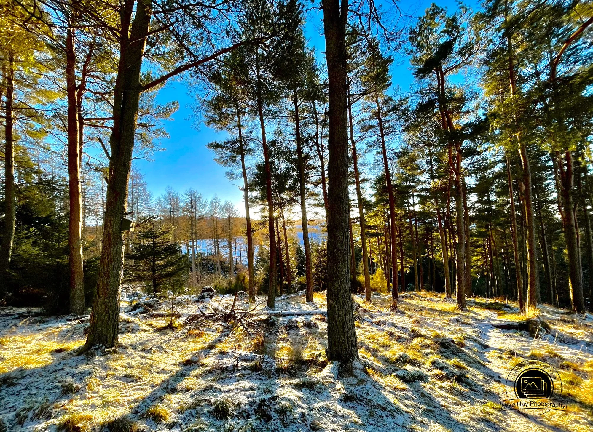 Landscape-Cloan-Hill-Trees.jpg