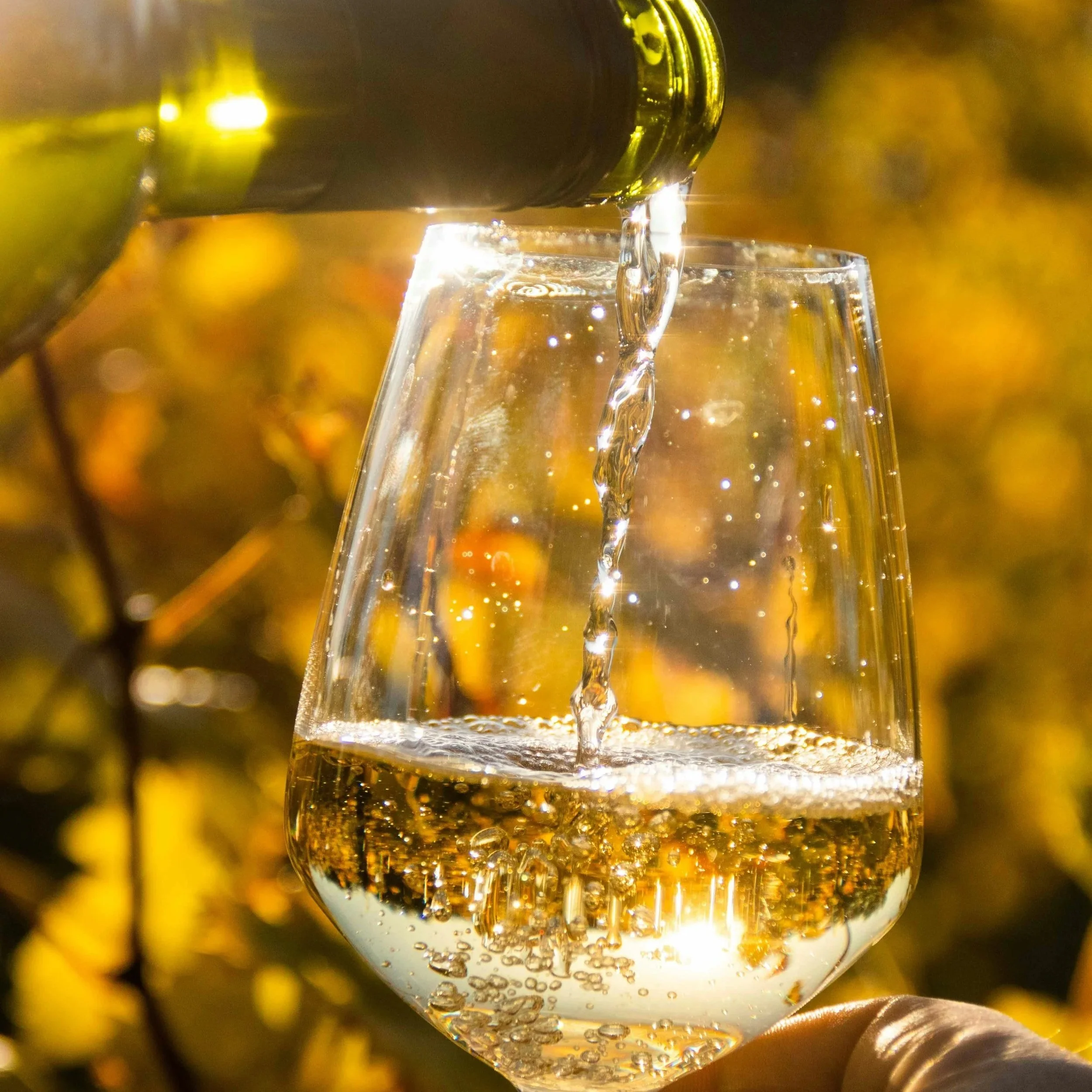 Close-up of a glass being filled with a golden, bubbly liquid, with bubbles rising inside the glass and a blurred warm background.