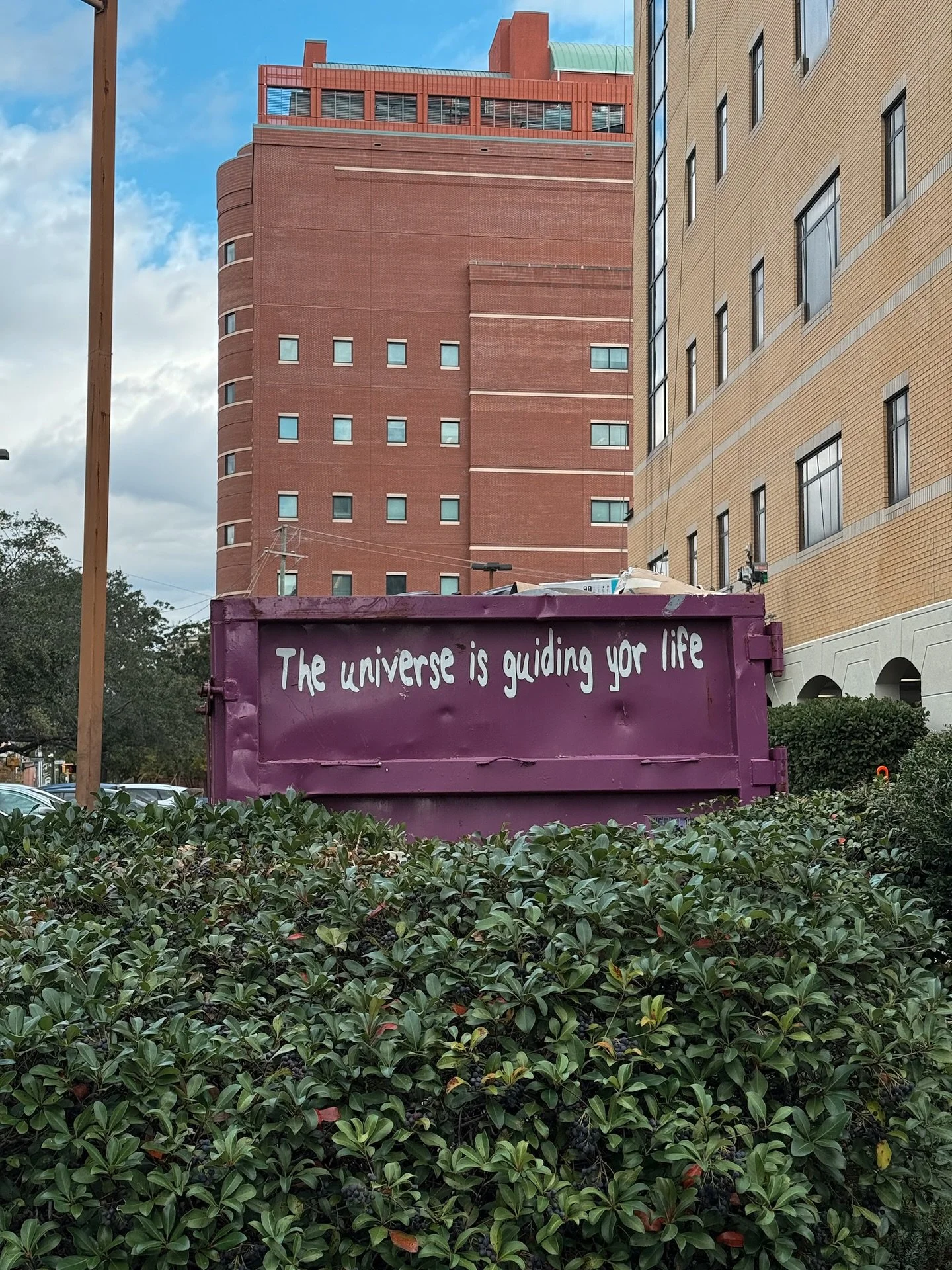 A good sign / sunshine / social butterfly 🦋 / no limits / devotions 🌸 / 🐆 / angels / @claireameen dropped off candy for all the kids at my door bc I had no time to get some myself (friendship 🍬!!) / grass is greener where you water it / color ins
