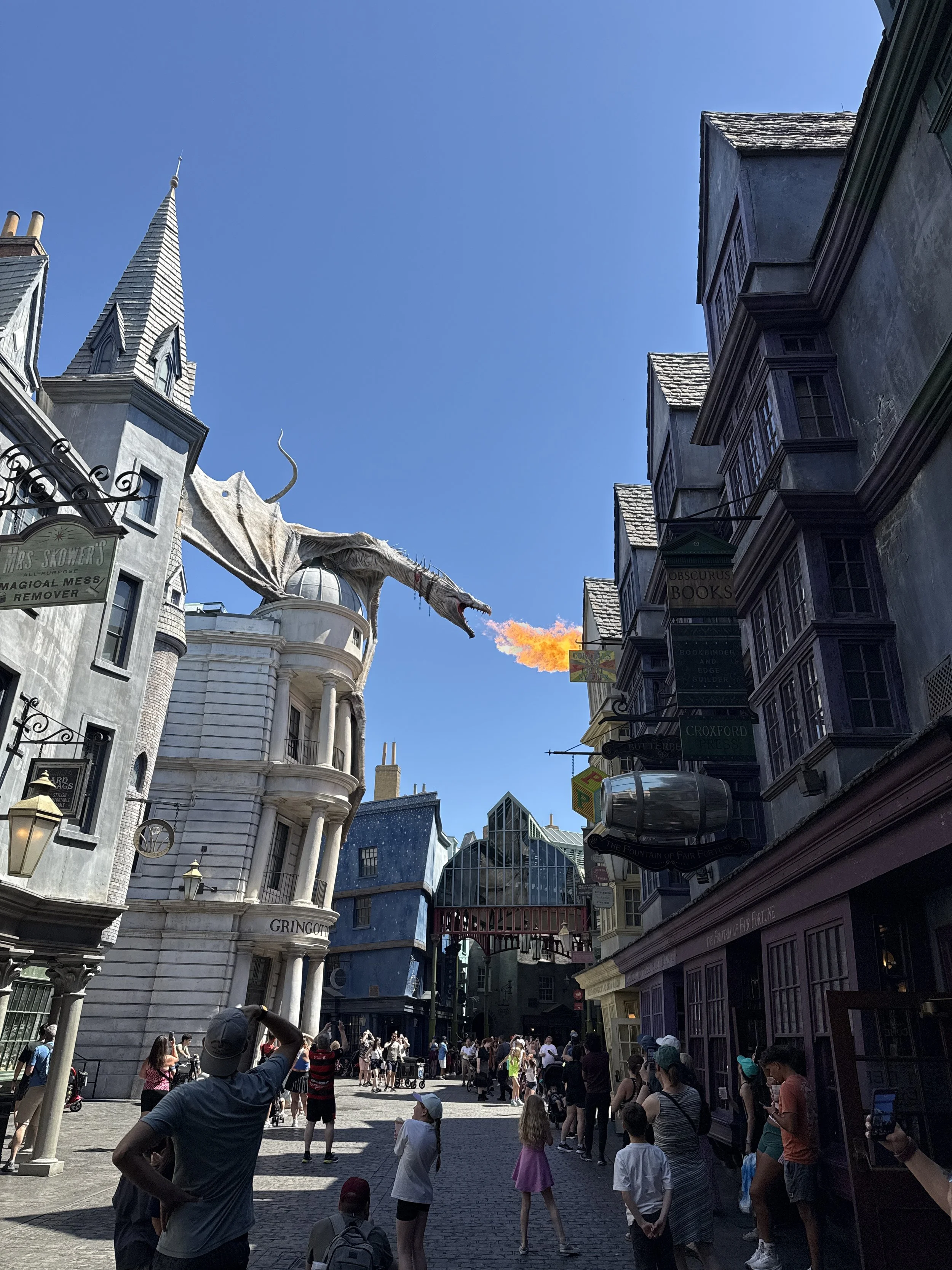 IMG_6809.jpeg