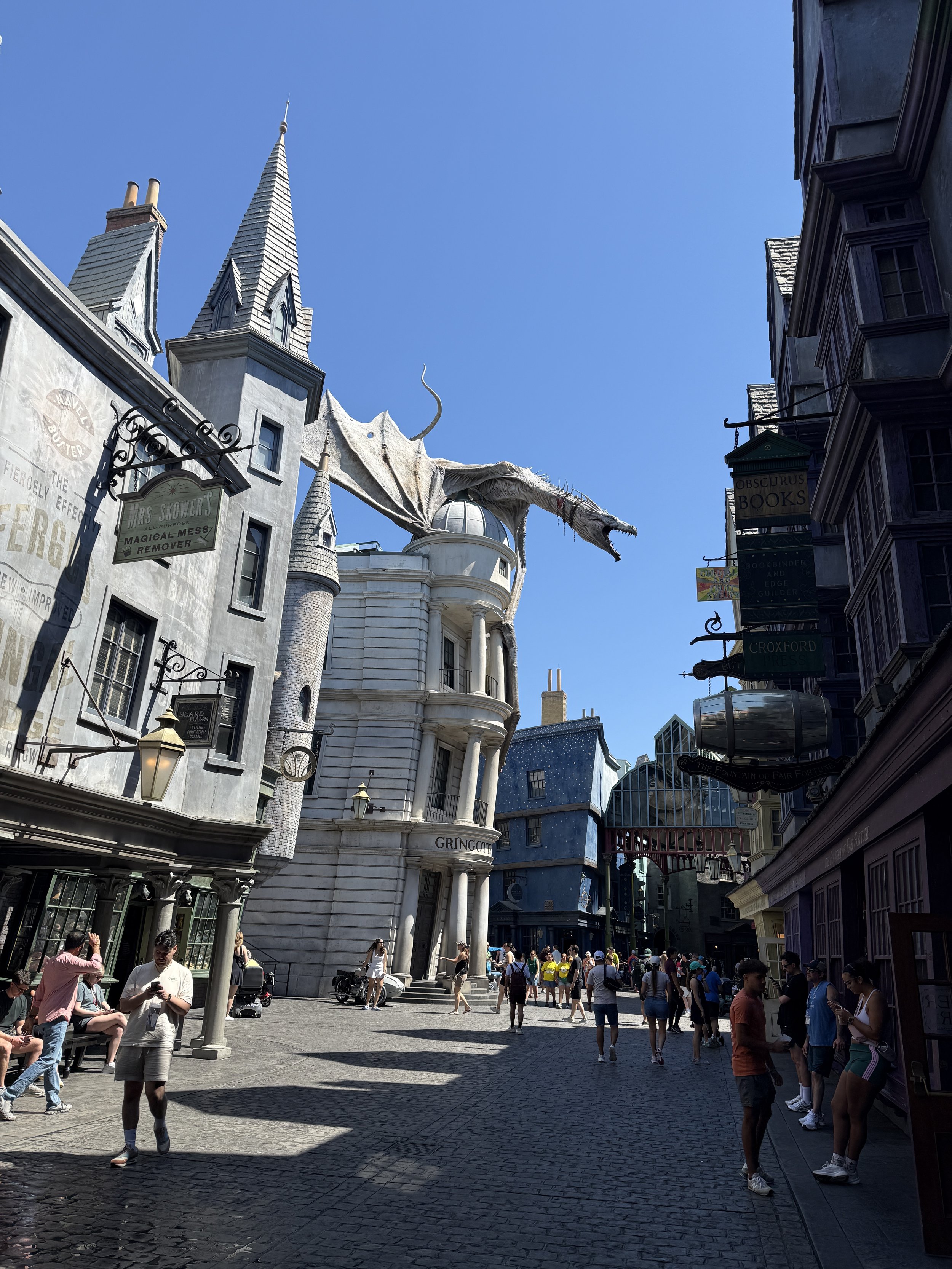 IMG_6781.jpeg