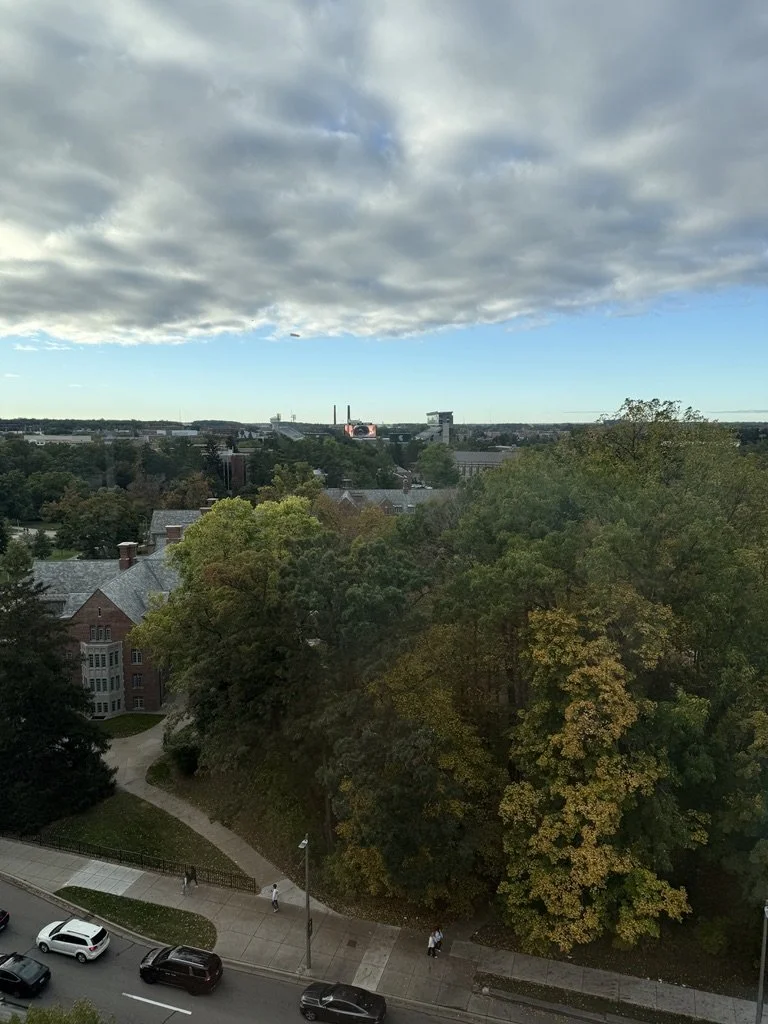 A31EC520-0032-4289-9AF2-1732F002DE0B_1_105_c.jpeg