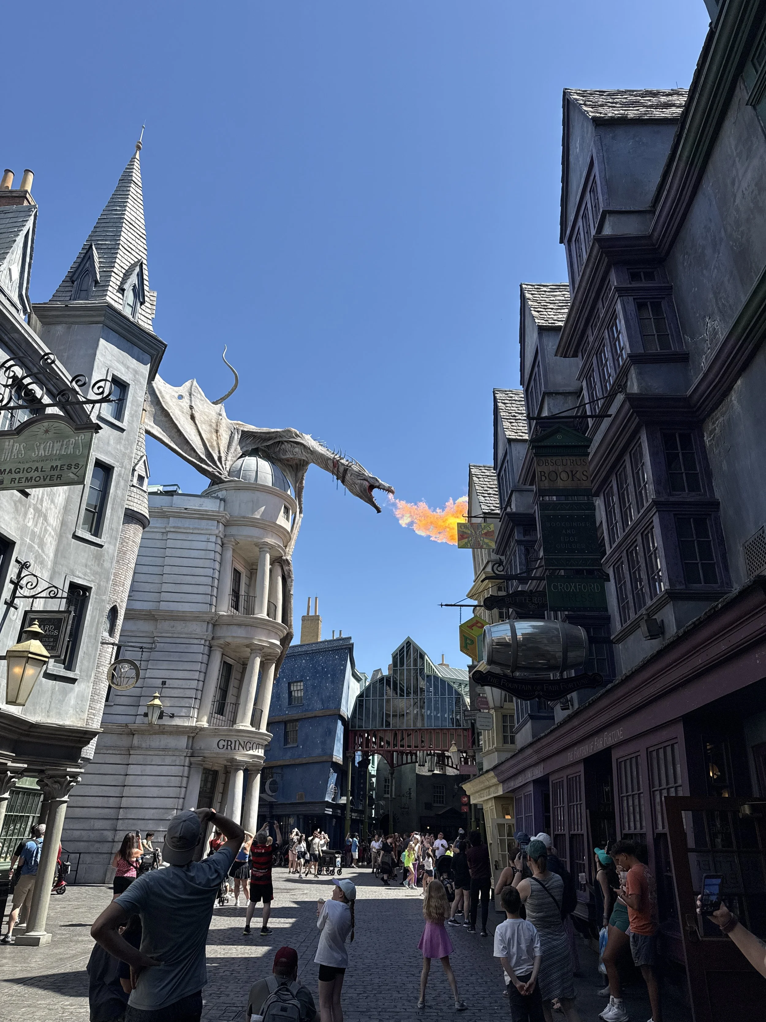 IMG_6808.jpeg