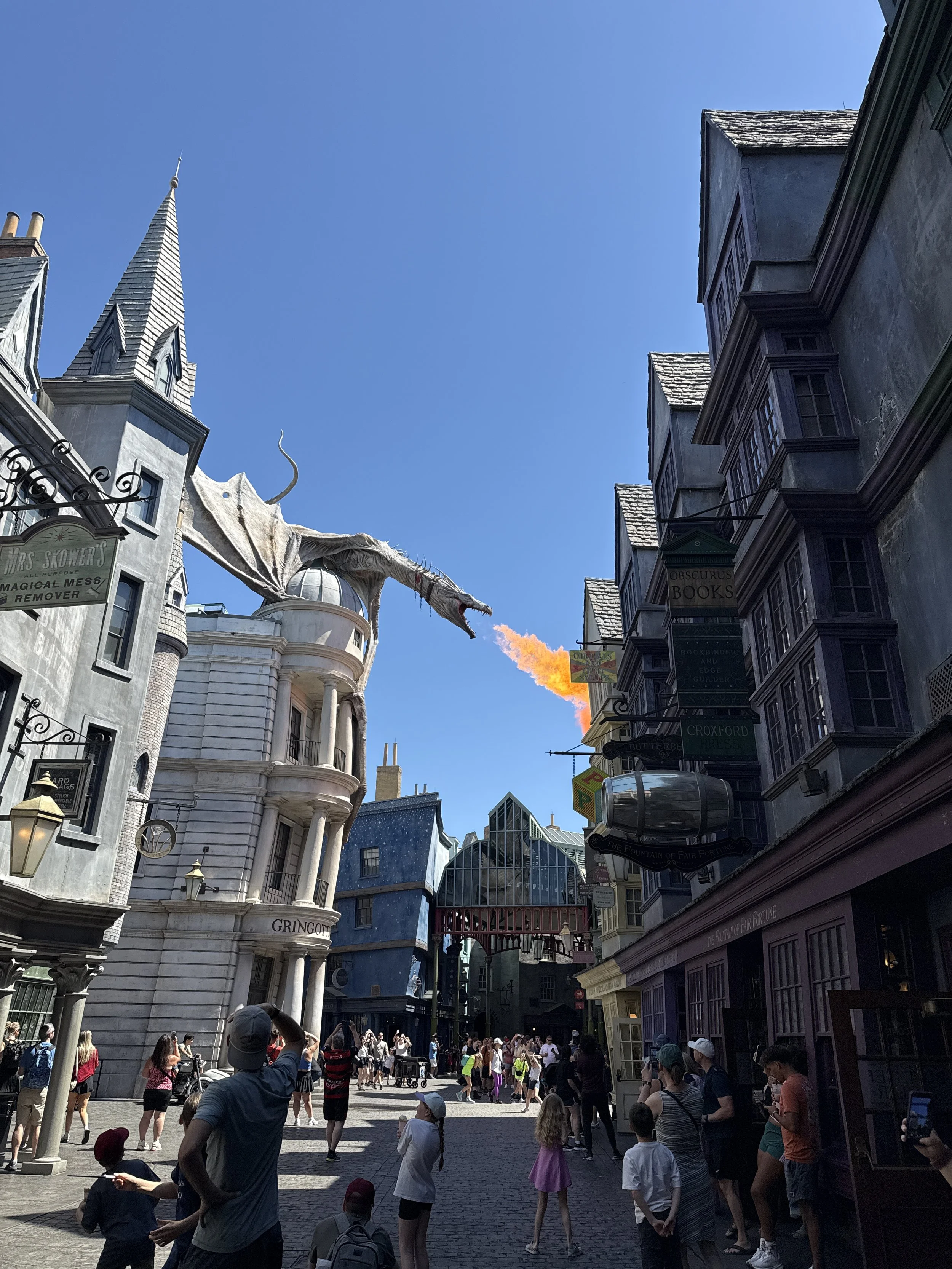 IMG_6805.jpeg