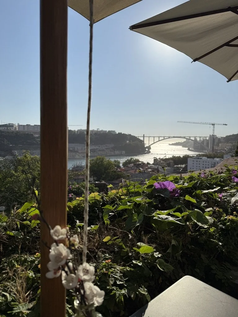 46FA6033-6781-4172-8F52-6B5B54937586_1_105_c.jpeg