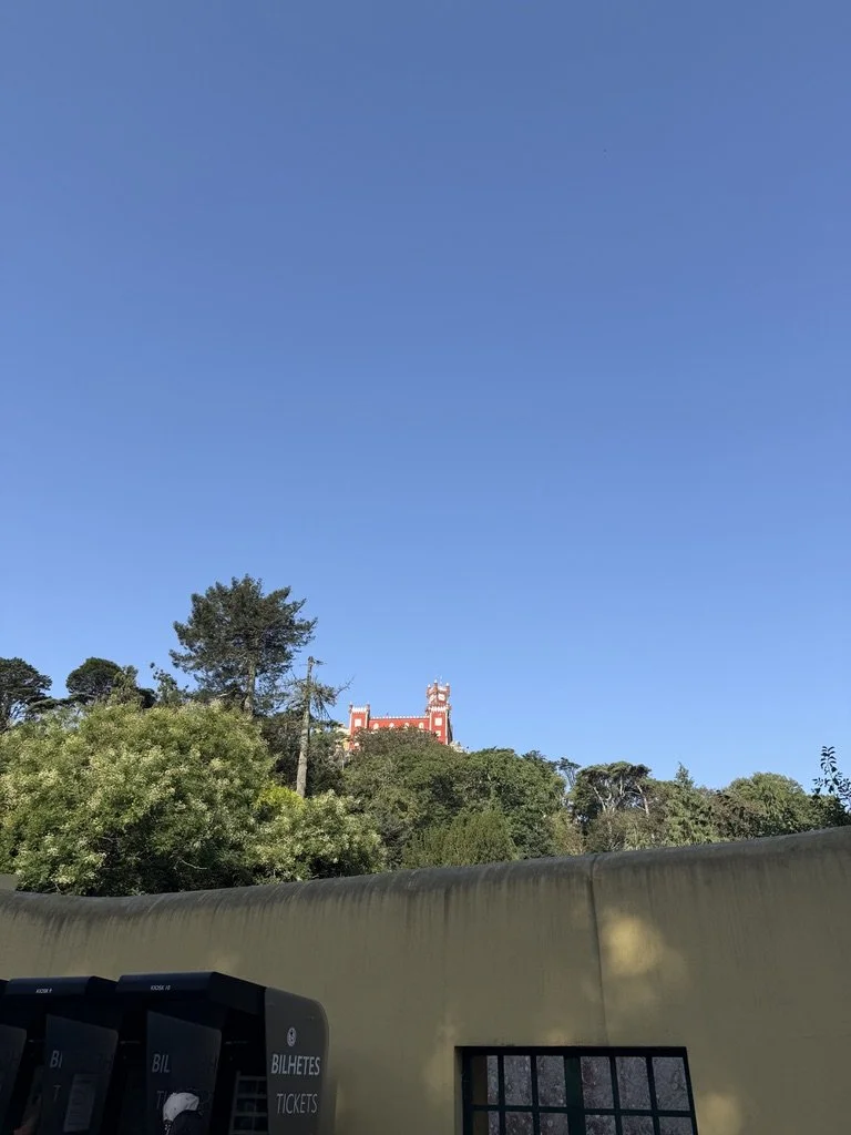 4896F5C8-B004-40EB-B008-2BA4F57870BE_1_105_c.jpeg