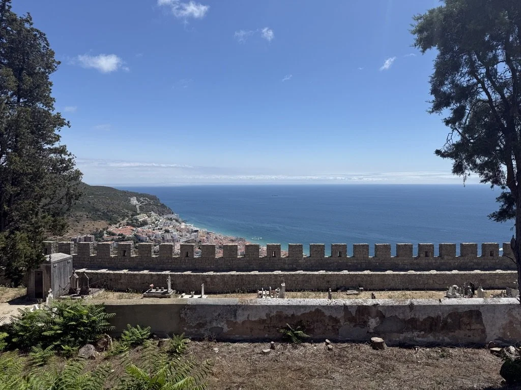 AA03929A-C0BC-4F32-8697-D77DDE24942A_1_105_c.jpeg