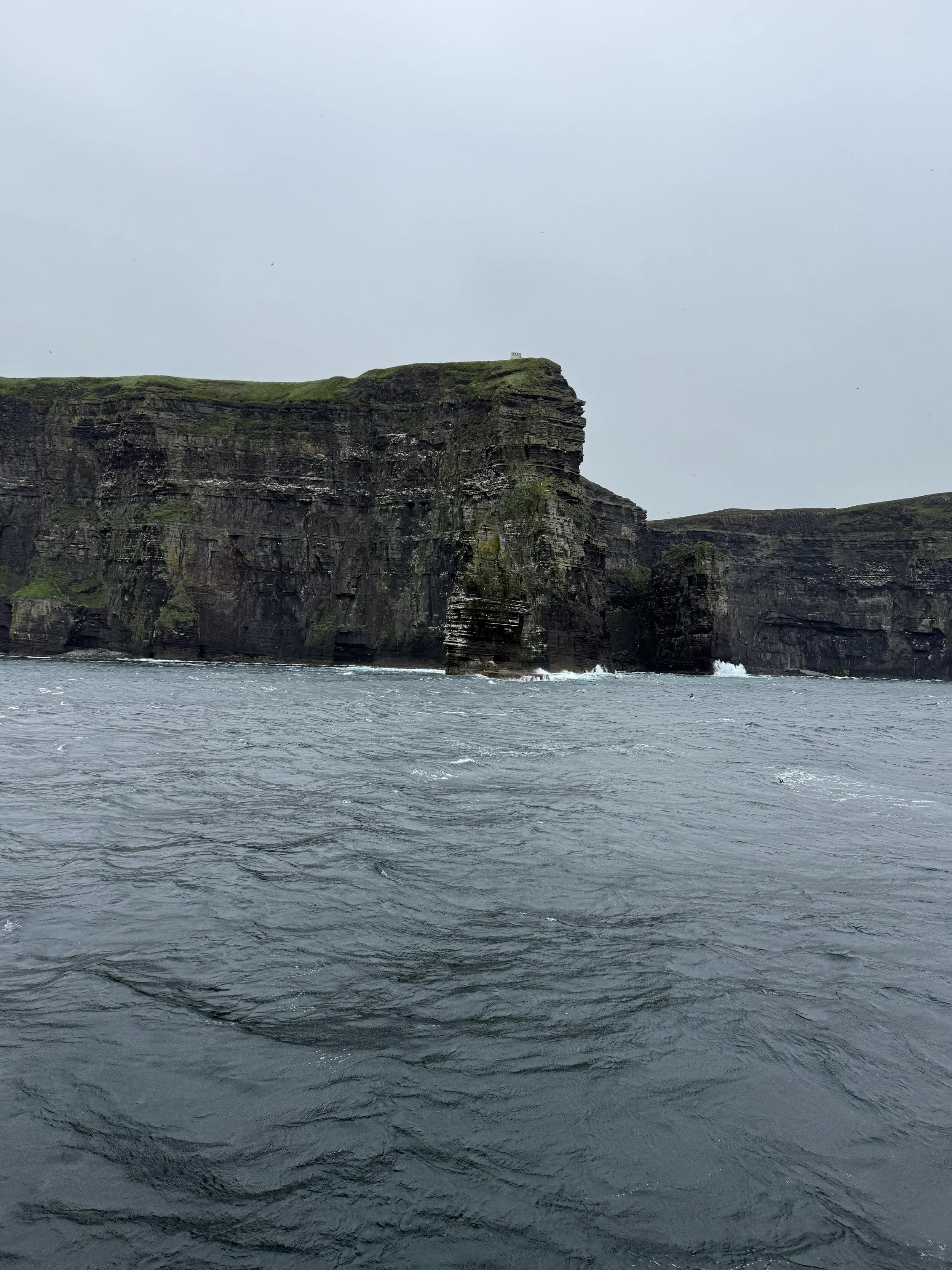 IMG_7095.jpeg