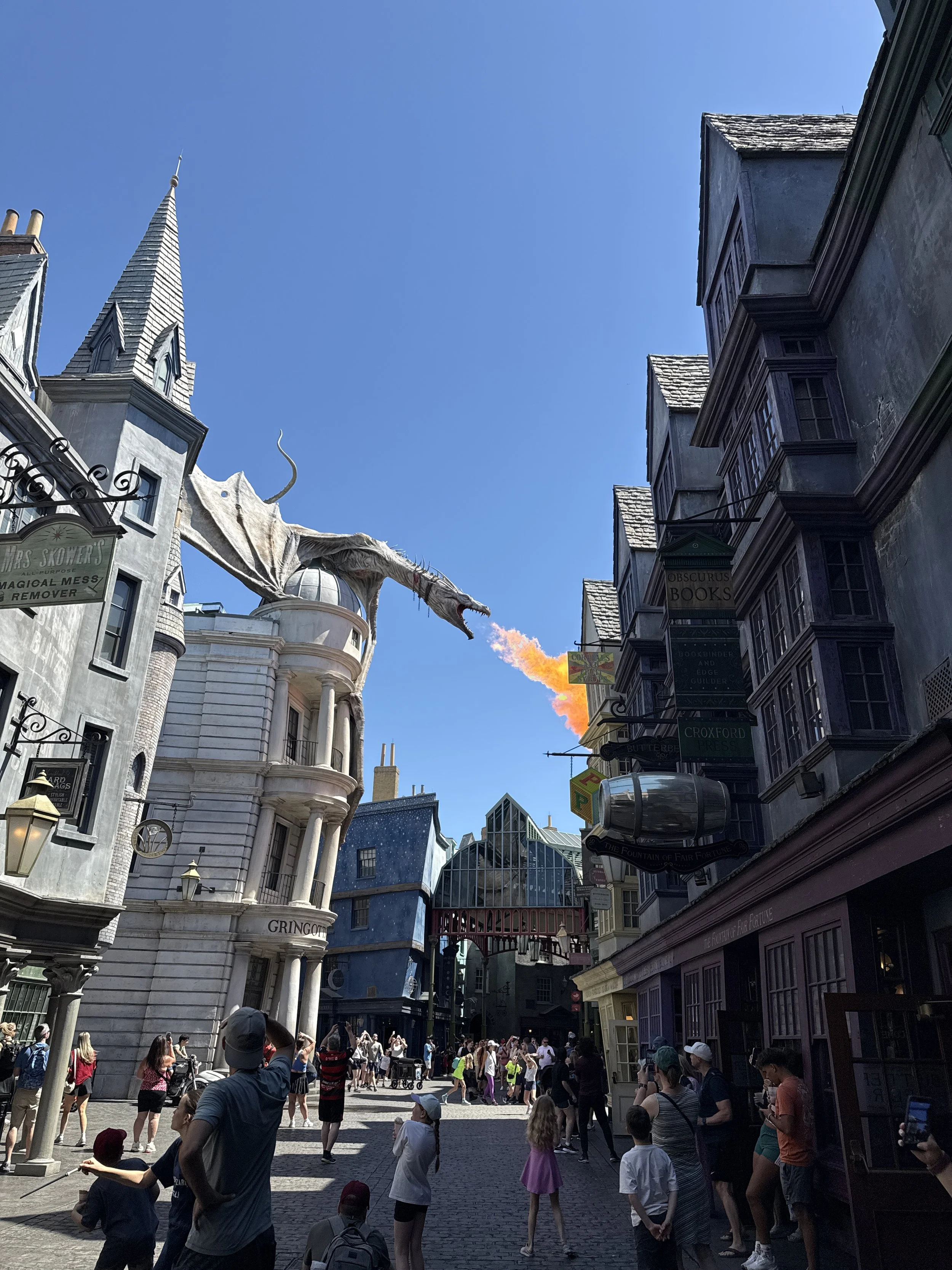 IMG_6804.jpeg