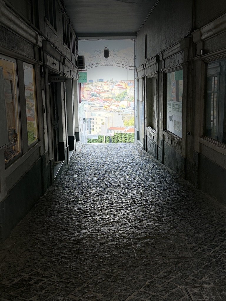 D1F3EDBC-C35D-489F-A74C-57BF463F39E2_1_105_c.jpeg