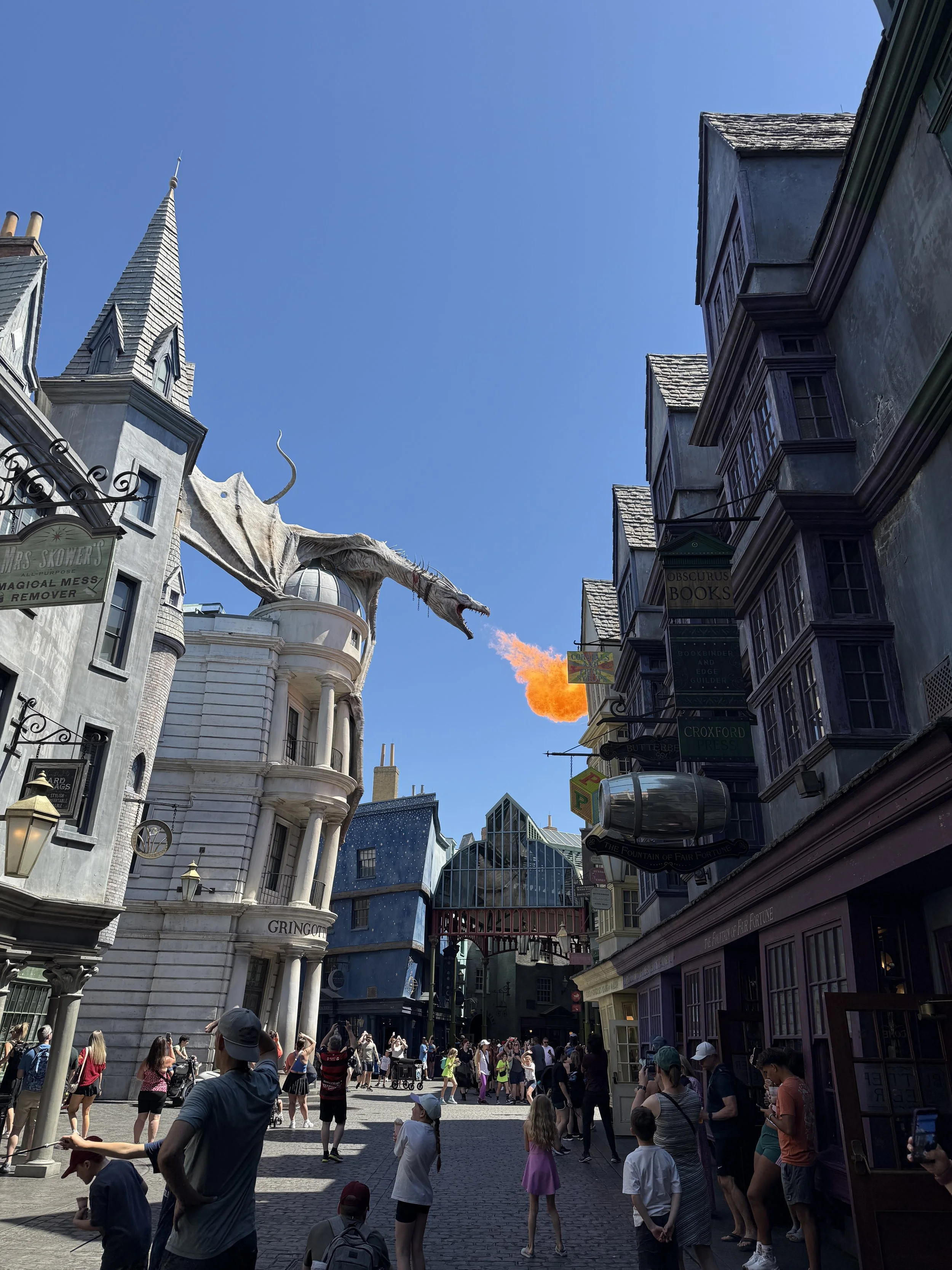 IMG_6803.jpeg