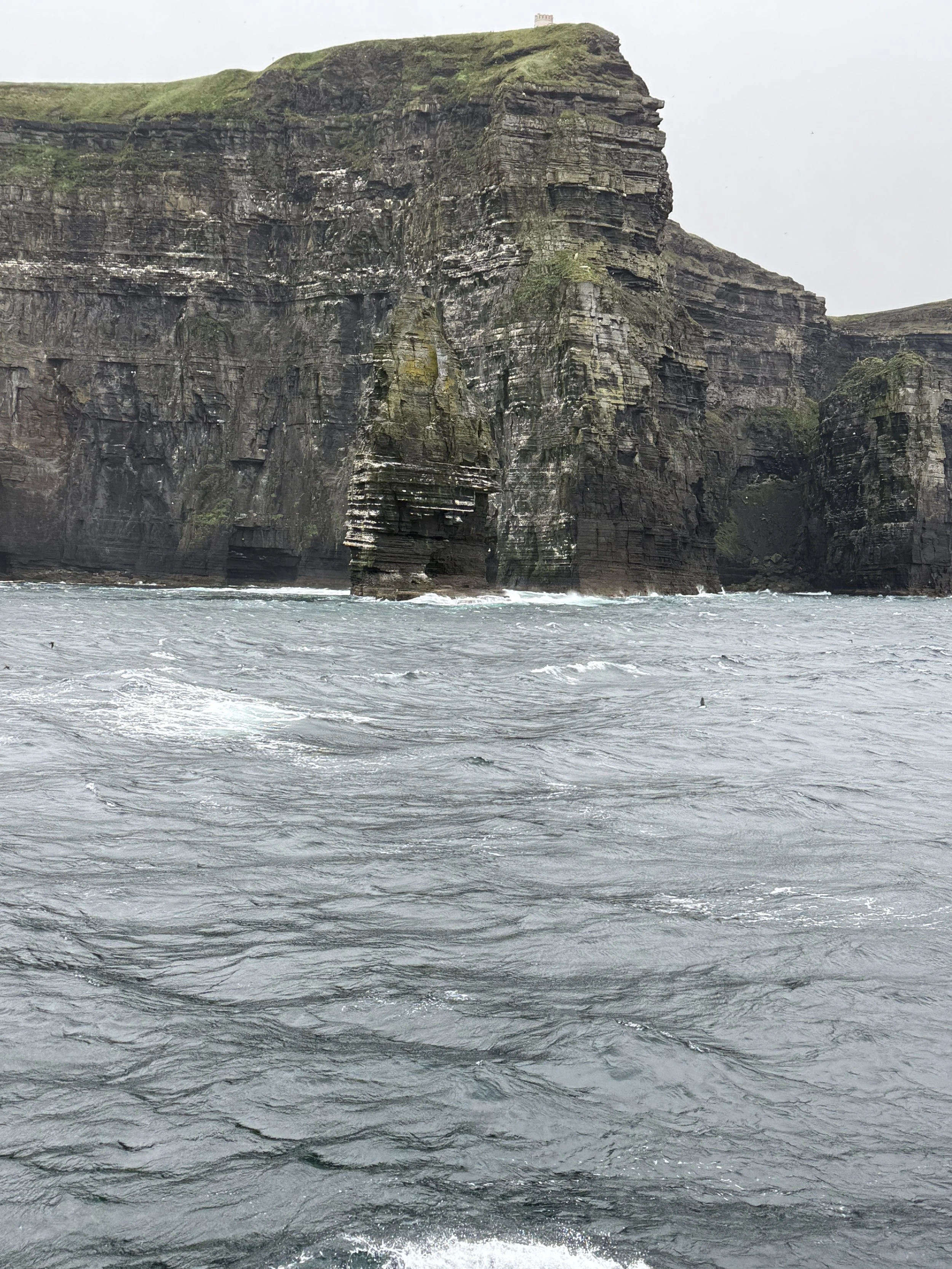 IMG_7094.jpeg