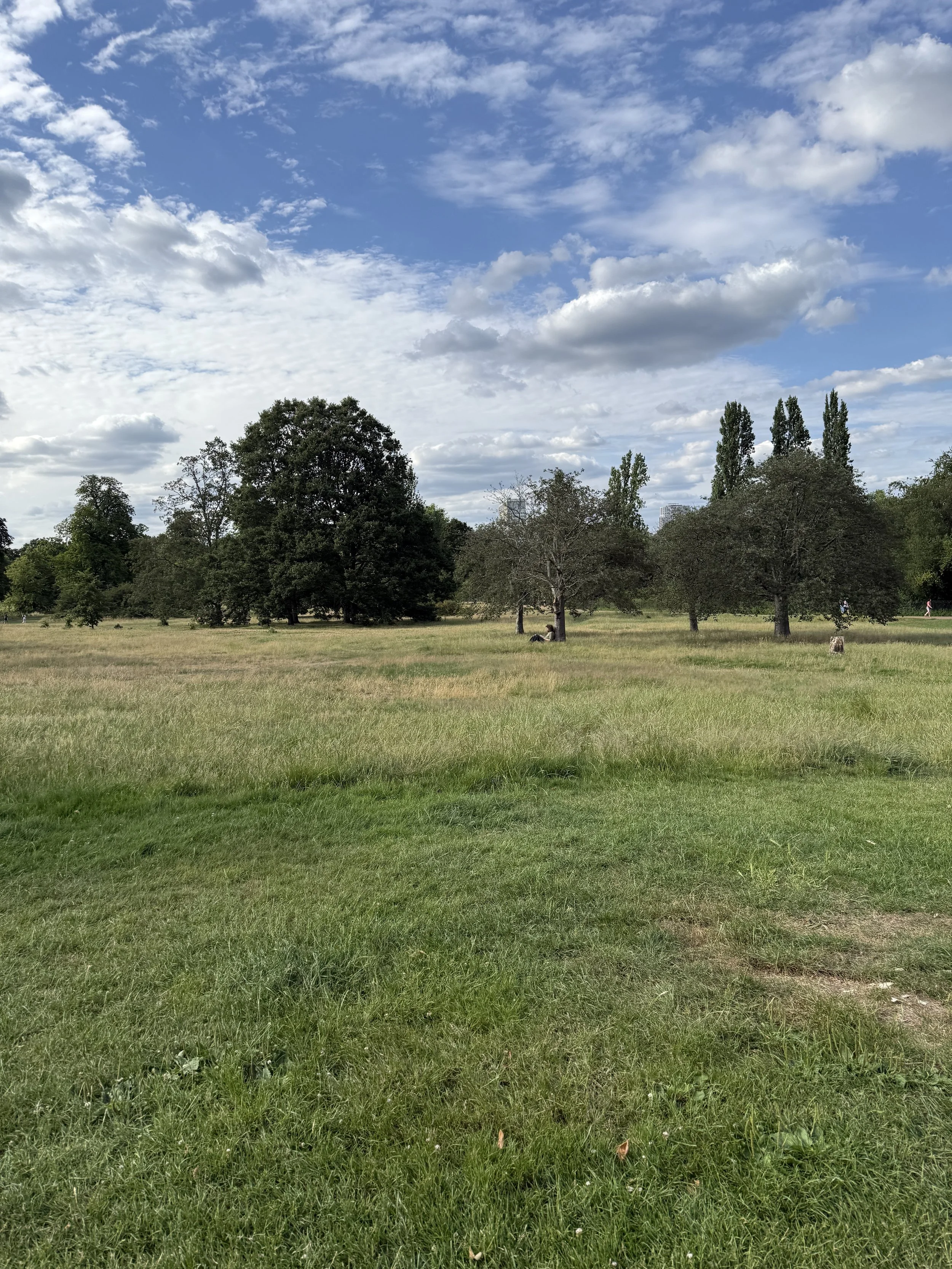 IMG_7058.jpeg