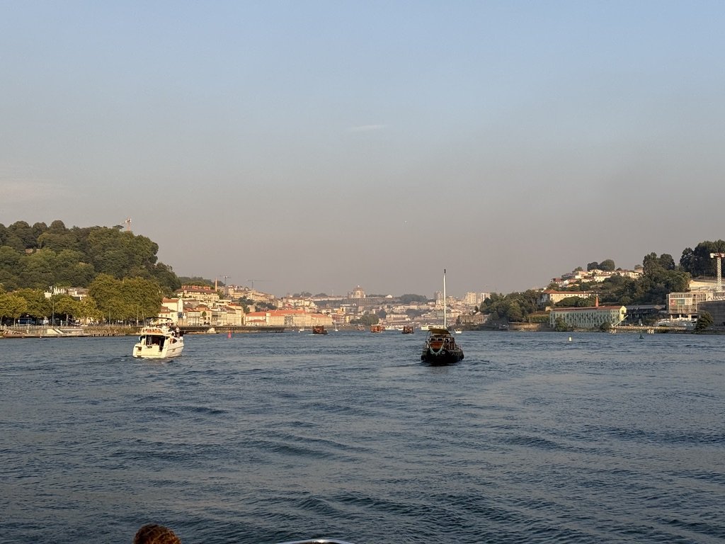 1414270E-E63F-4C90-B01E-B3012641FE72_1_105_c.jpeg