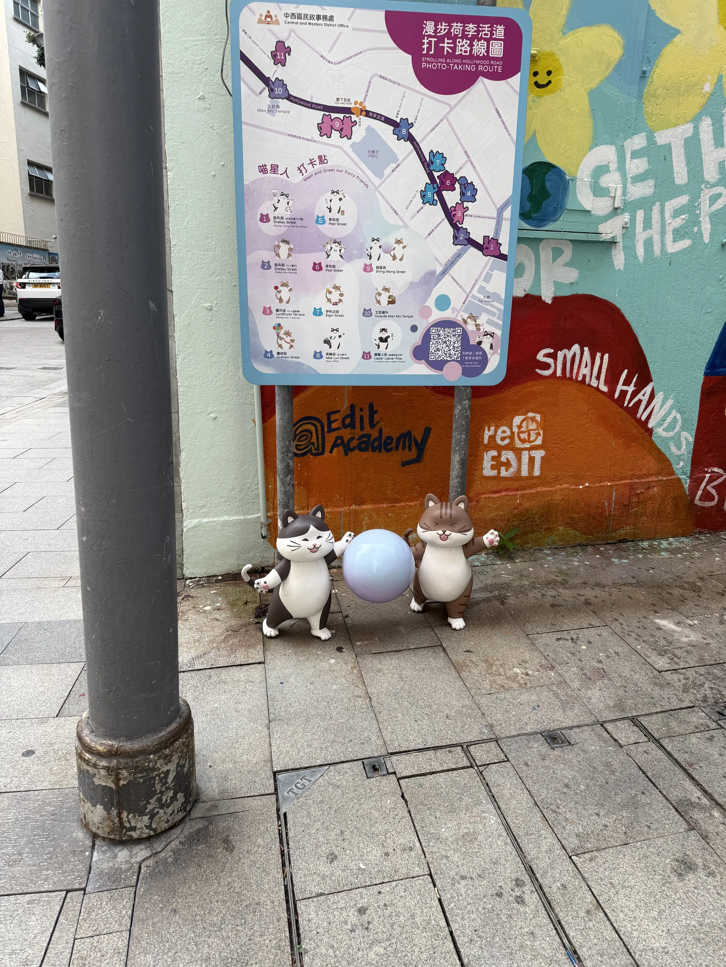 IMG_8208.jpeg