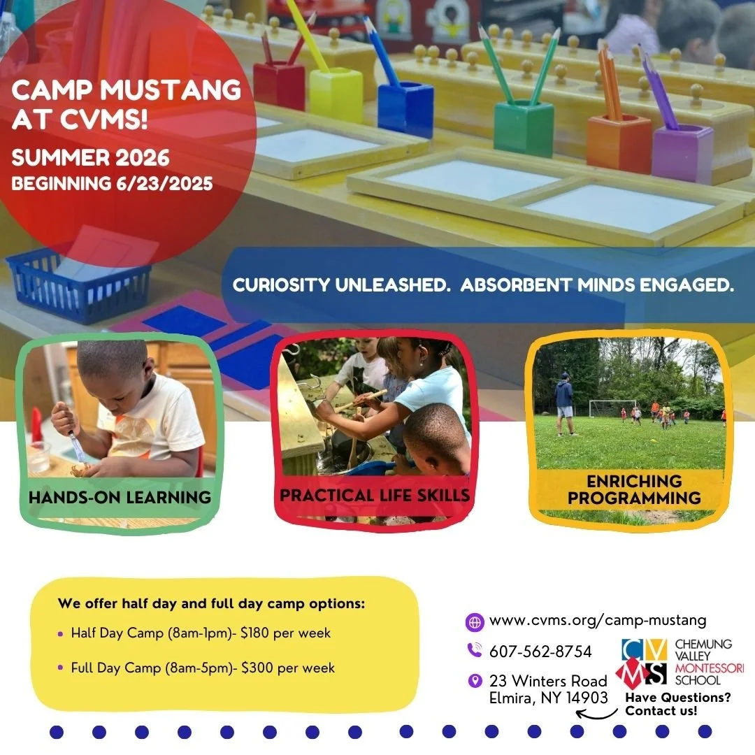Camp Mustang Summer Camp sign ups are officially live!

Our summer program is designed to nurture the social and emotional growth of your child, incorporating concepts in fun and creative ways. They will be amazed to find they&rsquo;ve been sharpenin