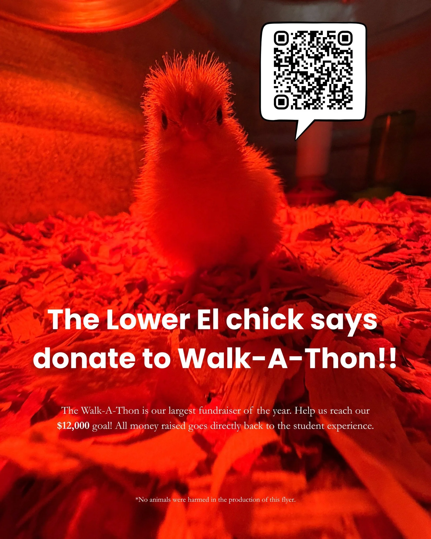 🐣 Peep peep! The Lower El Chicks are here to remind you&hellip; Walk-A-Thon needs YOUR support! 💛

Every donation makes a difference for our classrooms, teachers, and school environment. Support our students as they run for a great cause! Scan the 