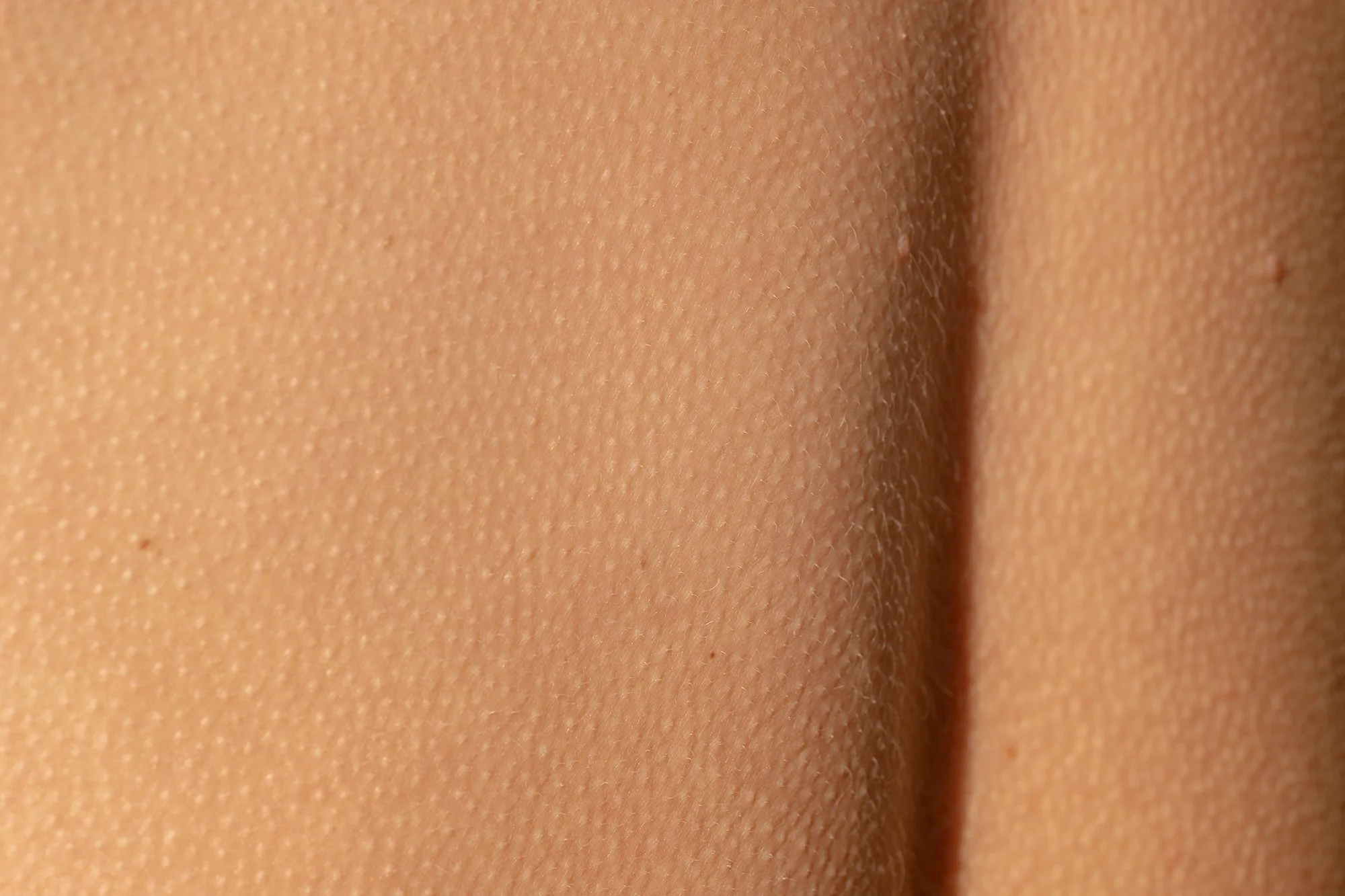 Joost Jagers - Lisa Anne Gales - 04122025 - 133200.jpg