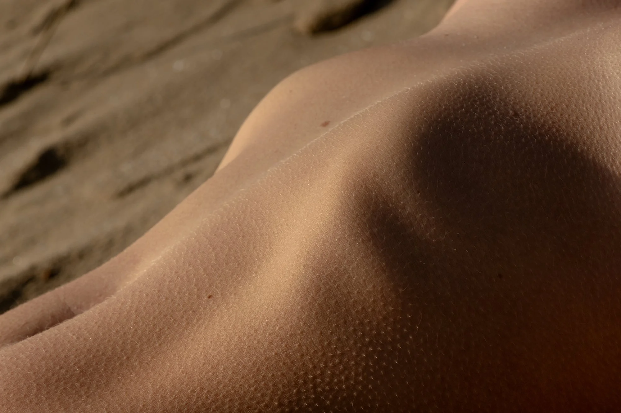 Joost Jagers - Lisa Anne Gales - 04122025 - 135806.jpg