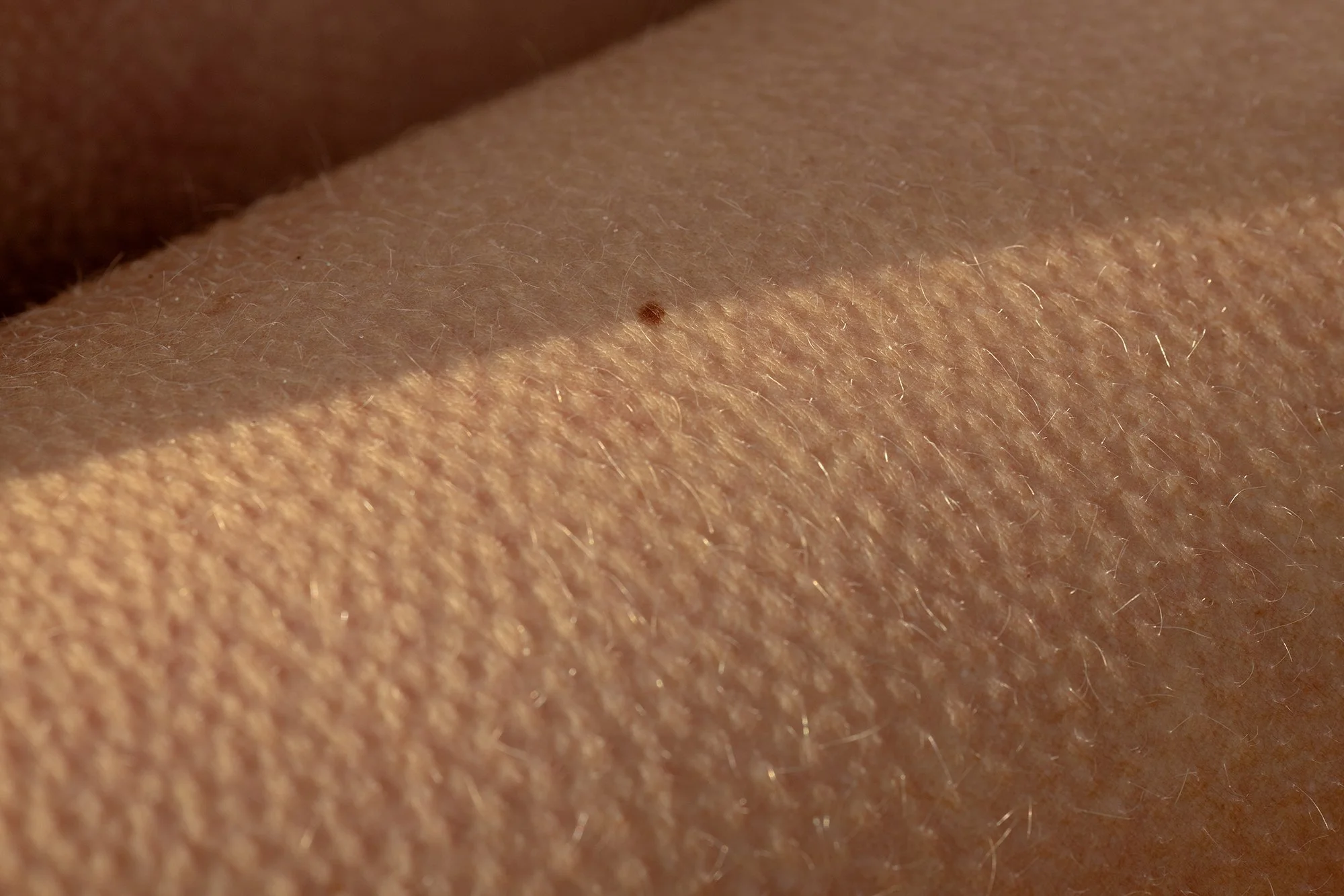 Joost Jagers - Lisa Anne Gales - 04122025 - 140748.jpg