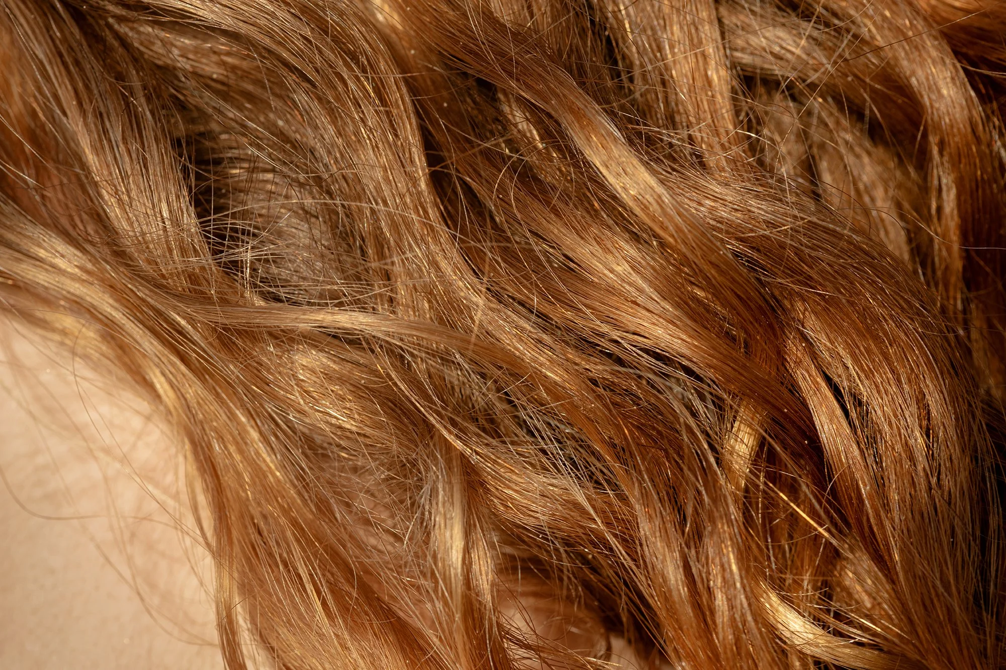 Joost Jagers - Lisa Anne Gales - 04122025 - 133344.jpg