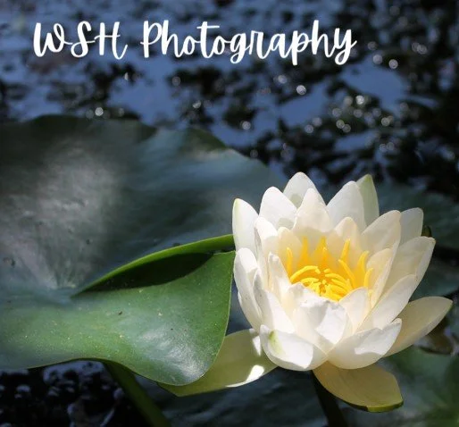 Interested in seeing more?  Click here to visit my store!