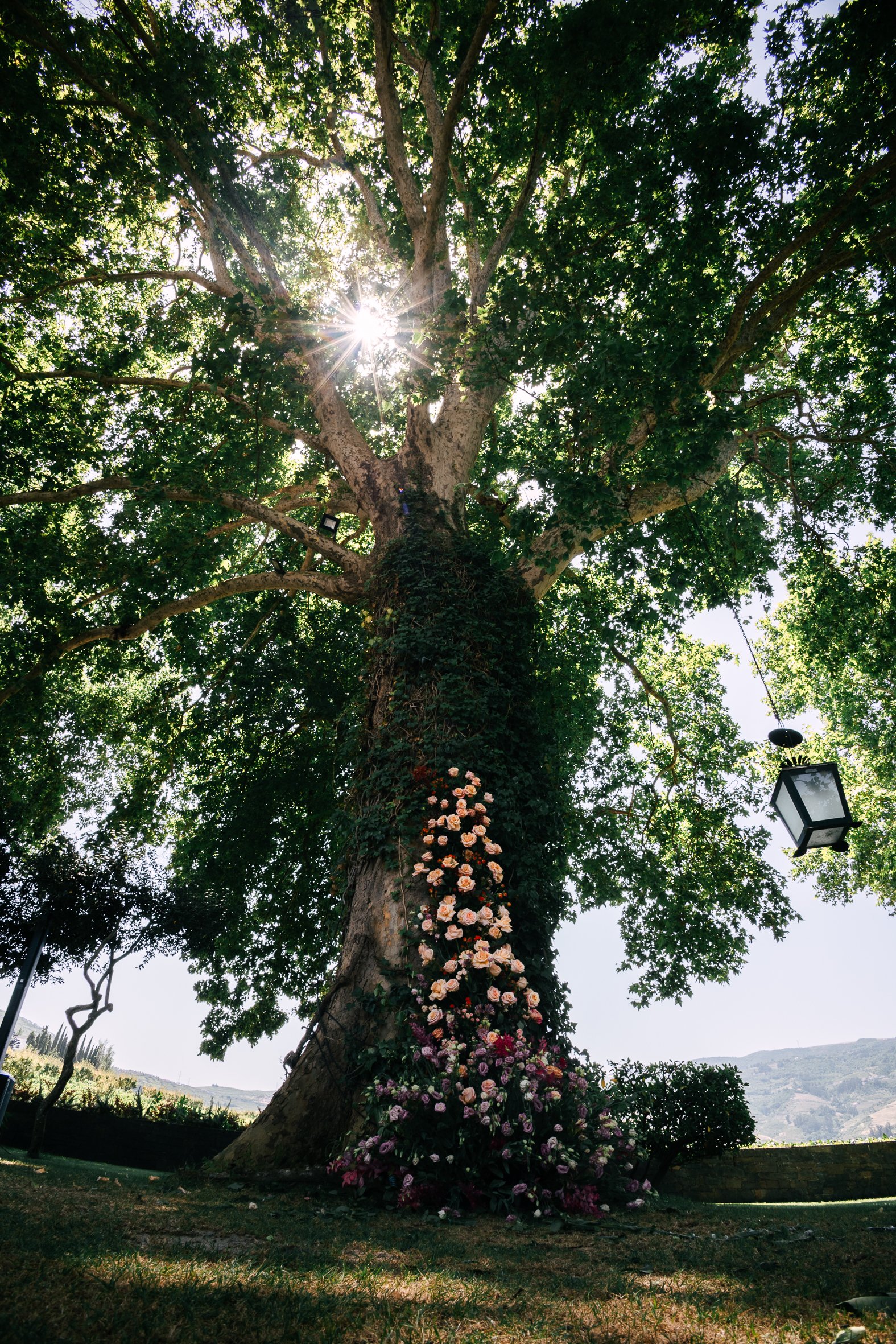 Mariah & Rahul-0220.jpg