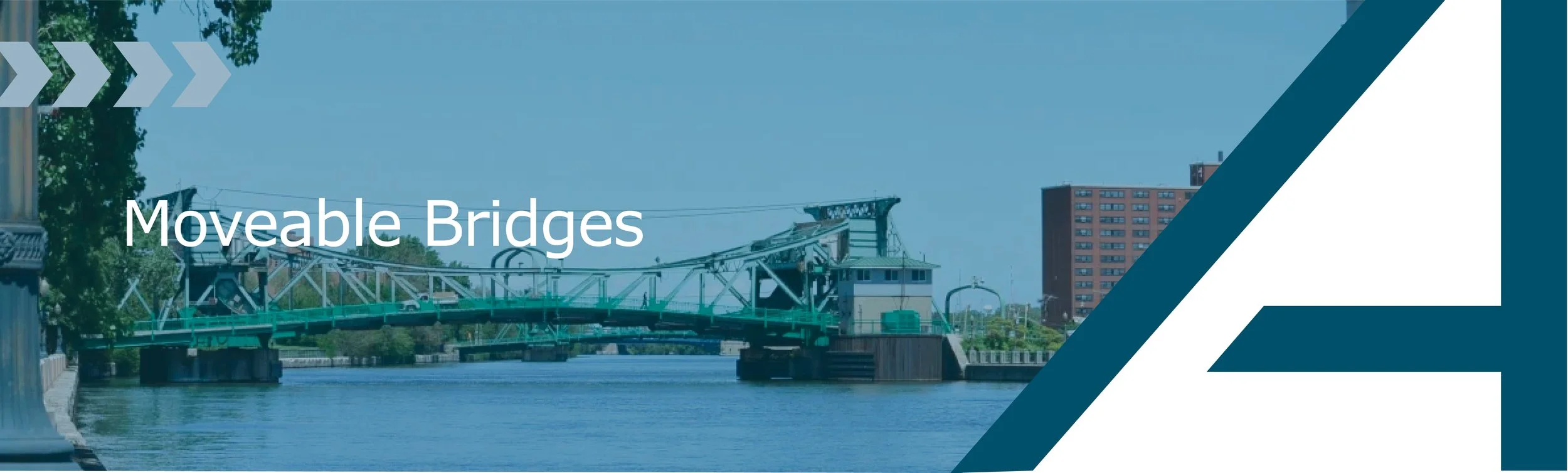 AAA Website Services A5.jpg