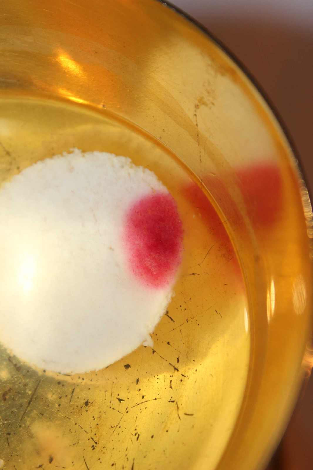 Eucharistic Miracles: God Under the Microscope — Saint Beluga
