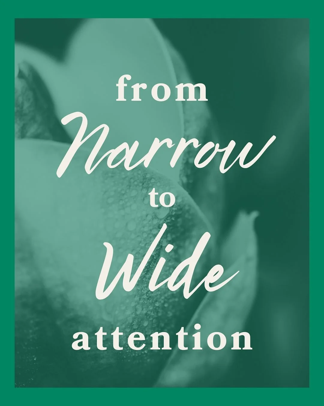 Most of us live with narrow attention&mdash;
focused on what&rsquo;s wrong, what needs fixing,
what we haven&rsquo;t yet figured out. 

It&rsquo;s innocent.
It&rsquo;s how we&rsquo;ve learned to survive.

But when attention stays narrow, life begins 